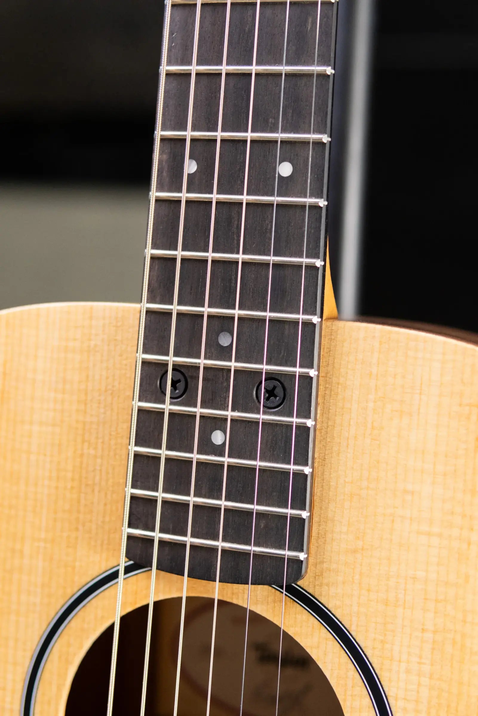 Taylor BT1e Baby Taylor Acoustic/Electric Guitar with Gig Bag