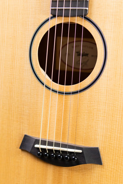 Taylor BT1e Baby Taylor Acoustic/Electric Guitar with Gig Bag