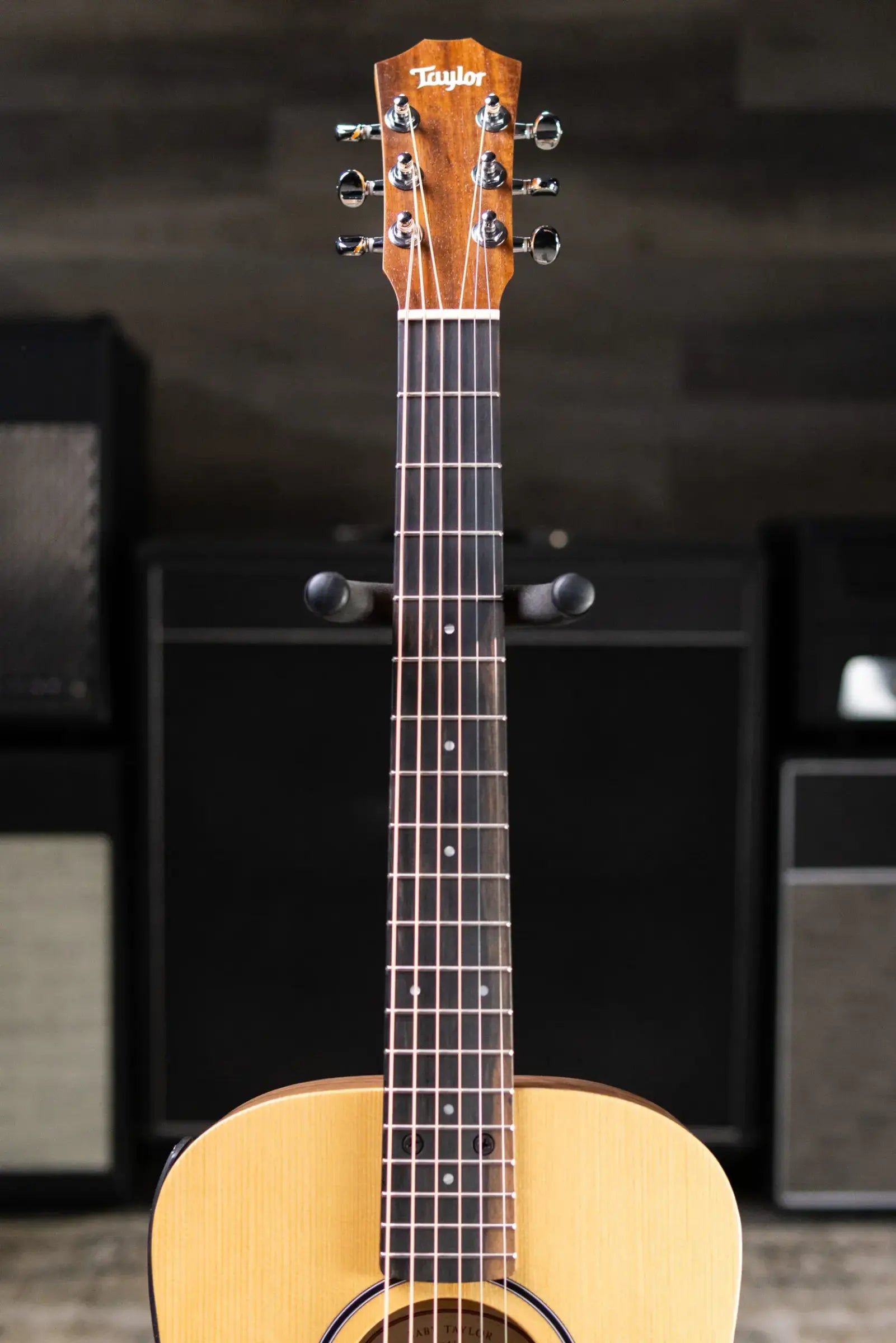Taylor BT1e Baby Taylor Acoustic/Electric Guitar with Gig Bag