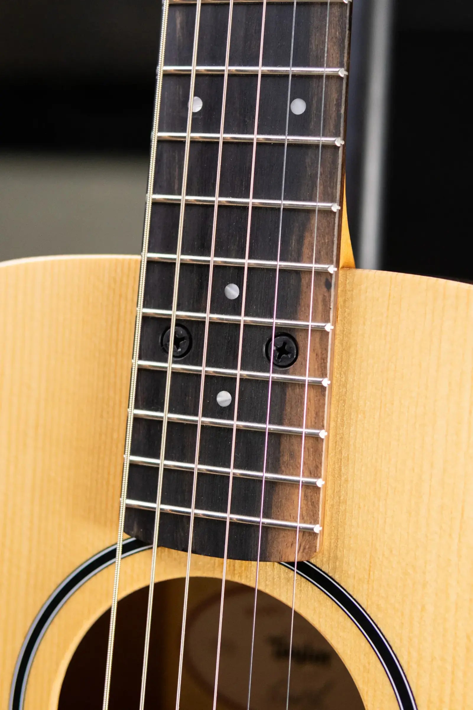 Taylor BT1e Baby Taylor Acoustic/Electric Guitar with Gig Bag