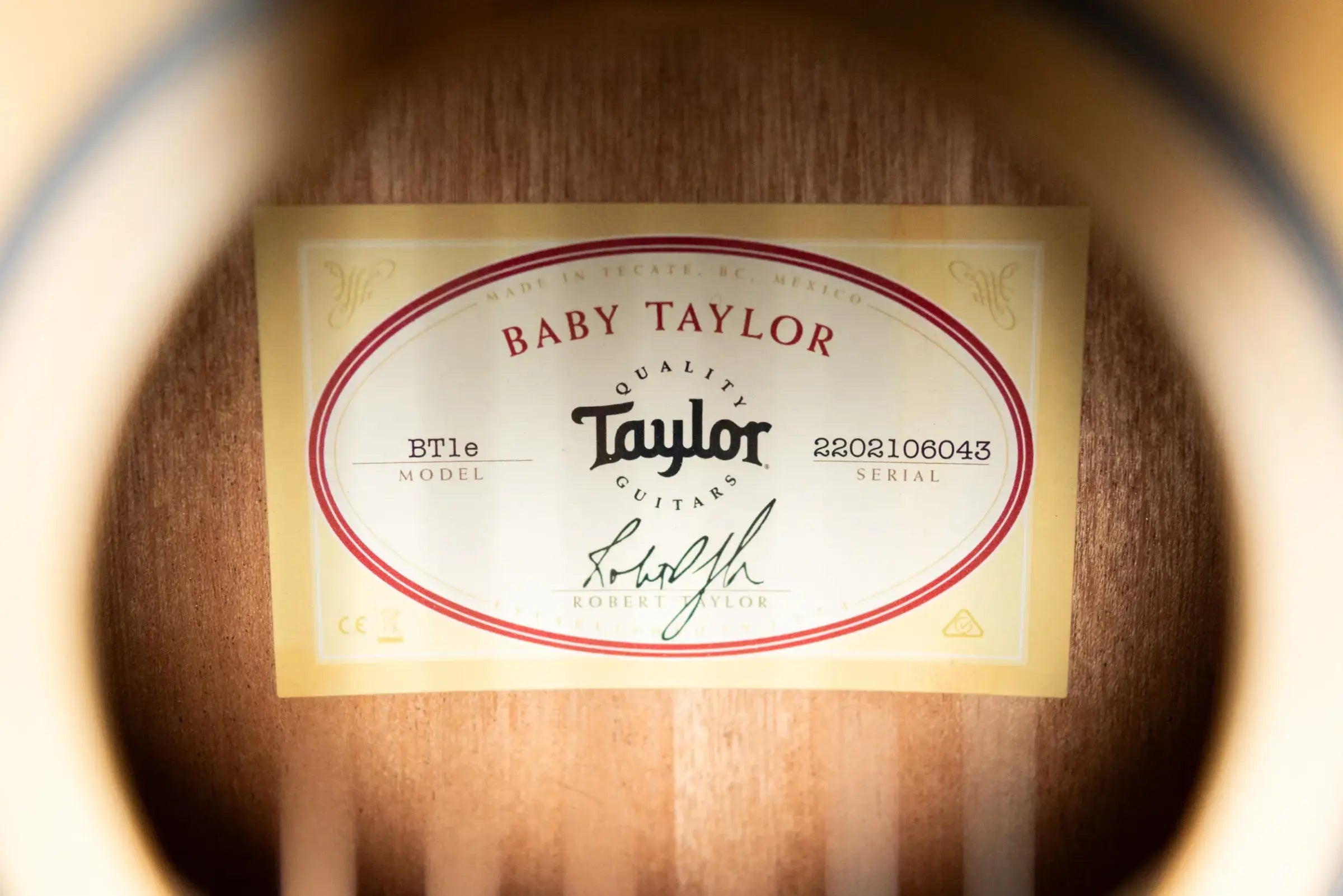 Taylor BT1e Baby Taylor Acoustic/Electric Guitar with Gig Bag