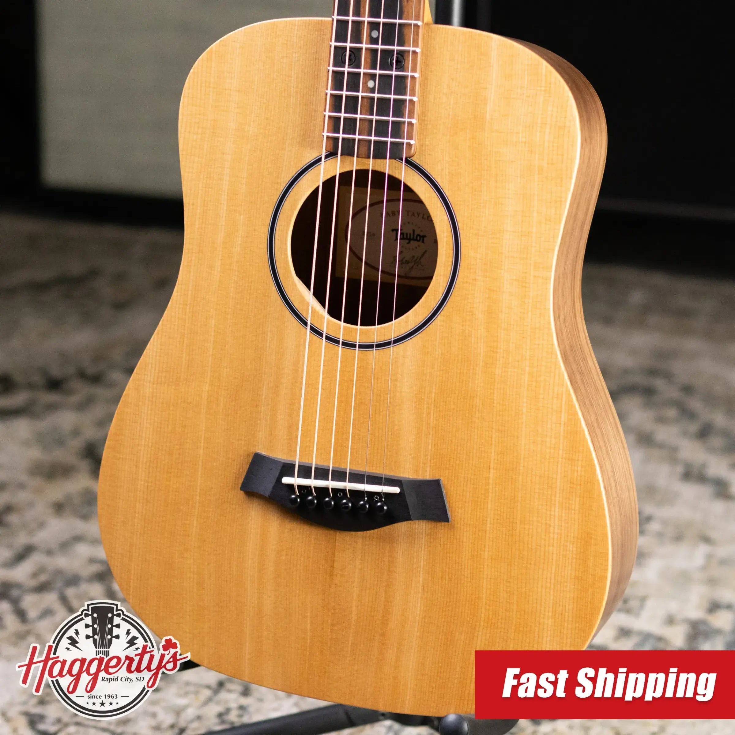 Taylor BT1e Baby Taylor Acoustic/Electric Guitar with Gig Bag