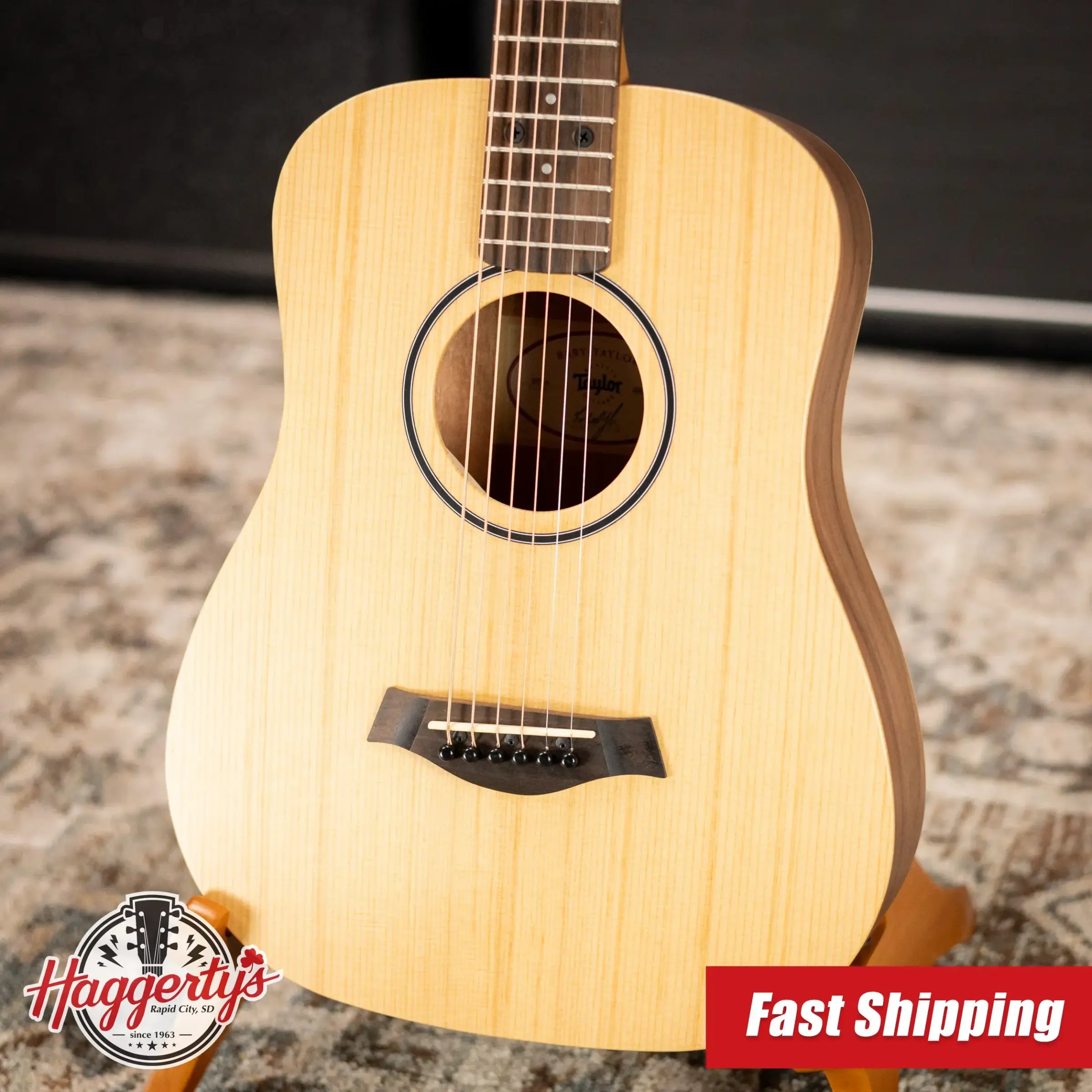 Taylor BT1e Baby Taylor Acoustic-Electric Guitar with Gig Bag