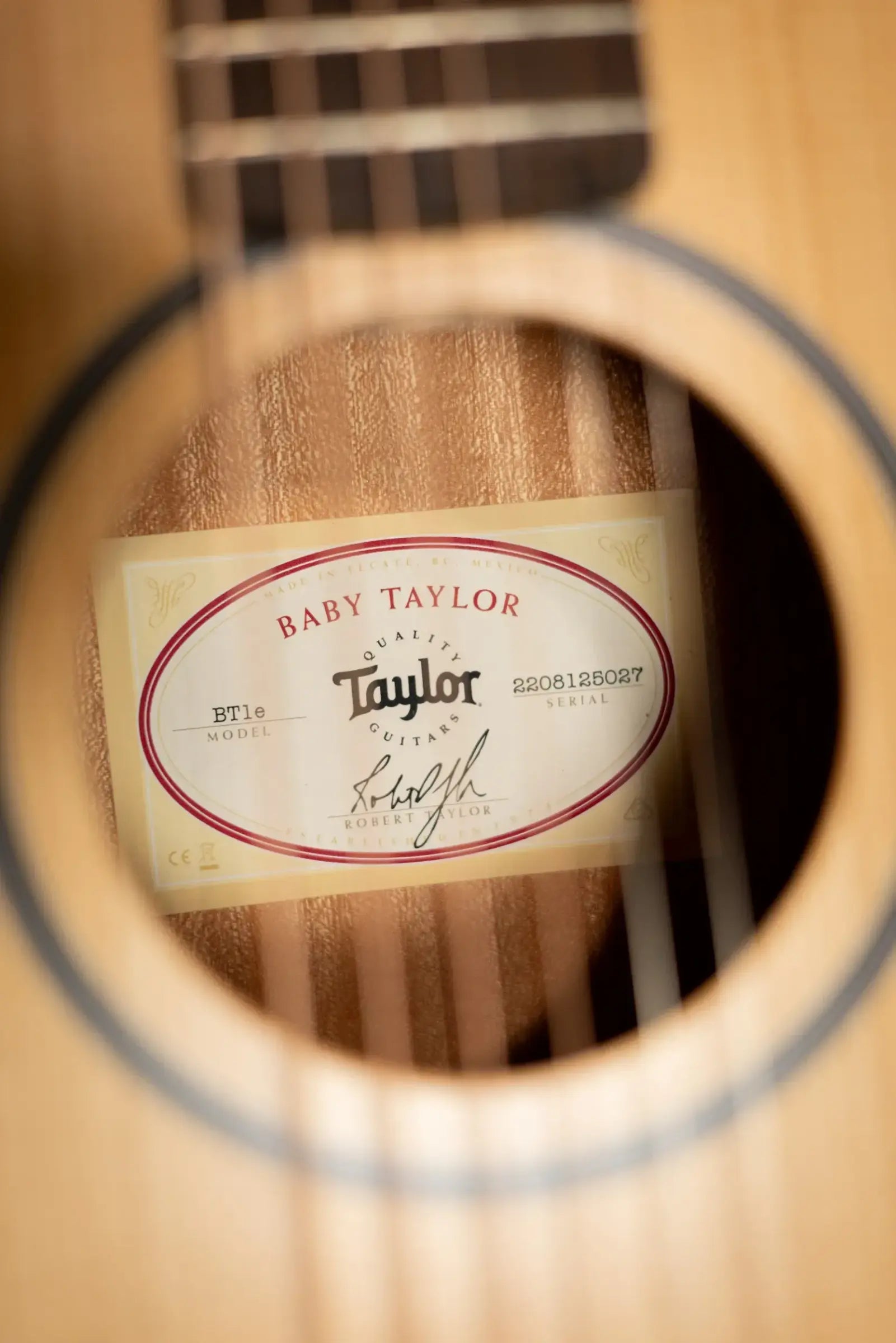 Taylor BT1e Baby Taylor Acoustic-Electric Guitar with Gig Bag