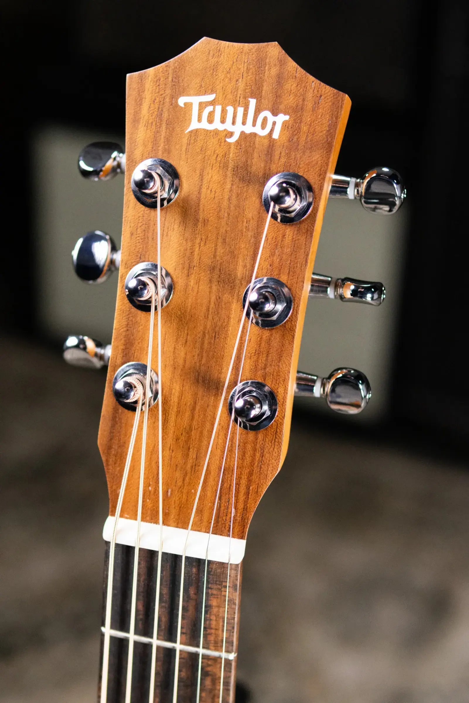 Taylor BT1e Baby Taylor Acoustic/Electric Guitar with Gig Bag