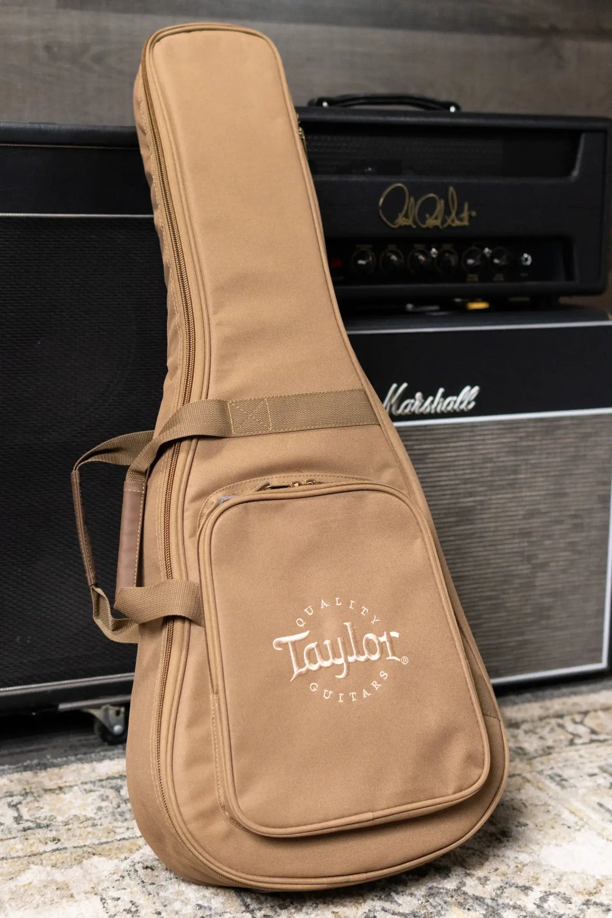 Taylor BT1e Baby Taylor Acoustic/Electric Guitar with Gig Bag