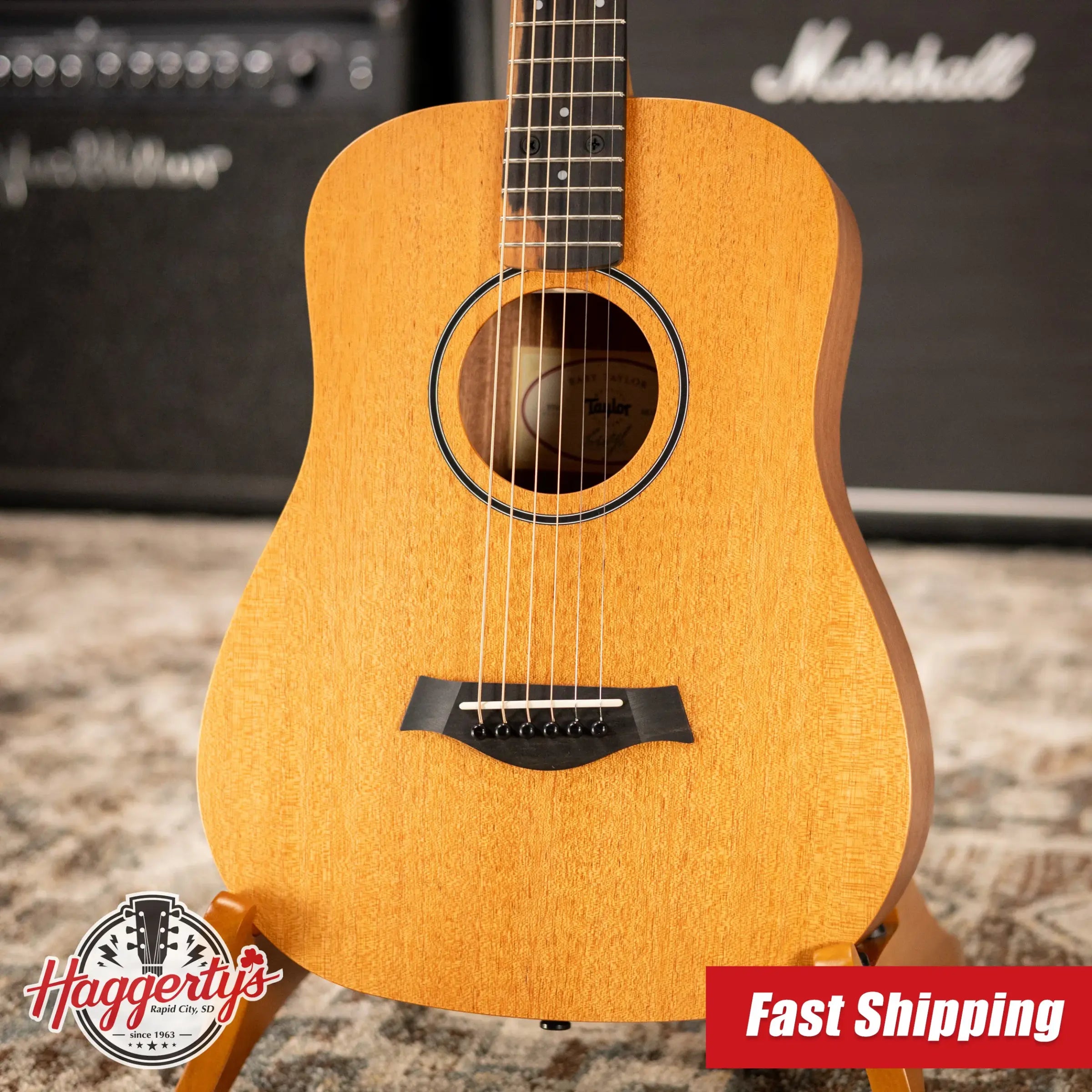 Taylor BT2 Baby Taylor Acoustic Guitar with Gig Bag