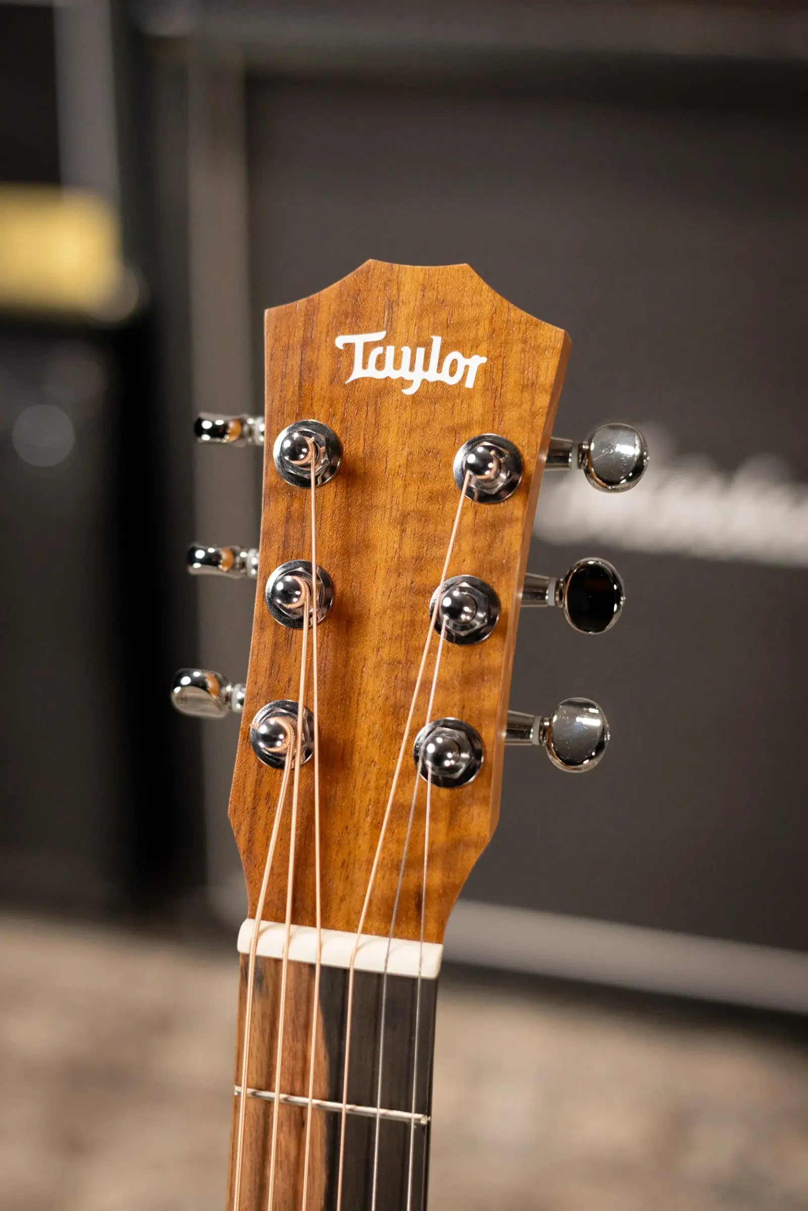 Taylor BT2 Baby Taylor Acoustic Guitar with Gig Bag