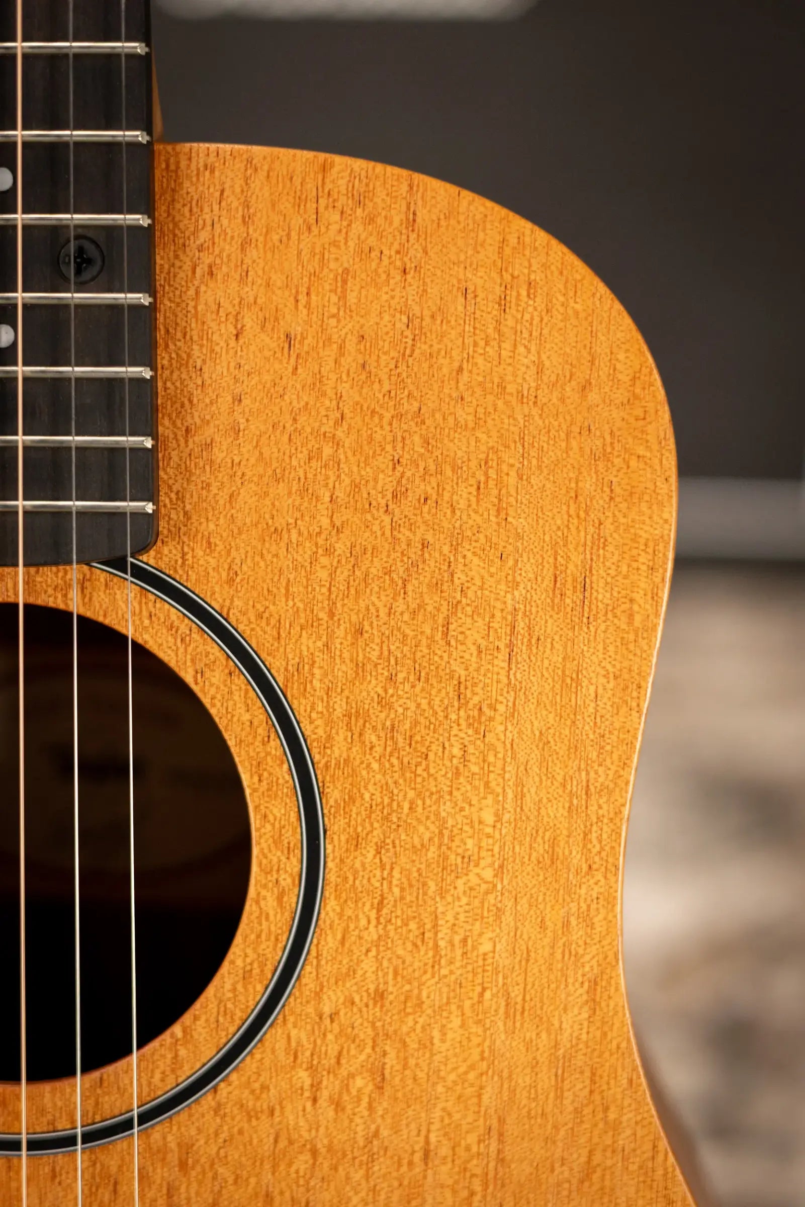 Taylor BT2 Baby Taylor Acoustic Guitar with Gig Bag
