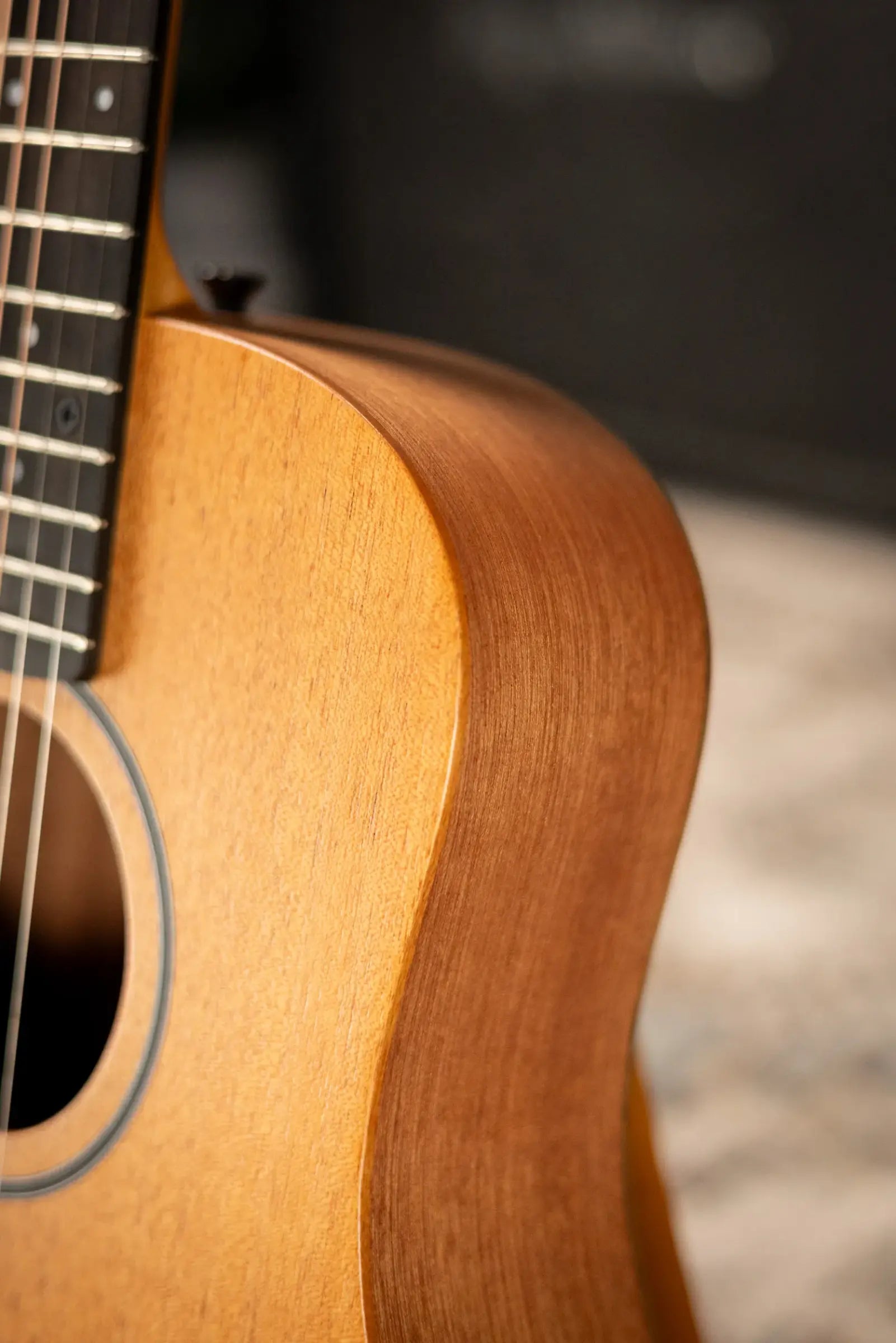 Taylor BT2 Baby Taylor Acoustic Guitar with Gig Bag