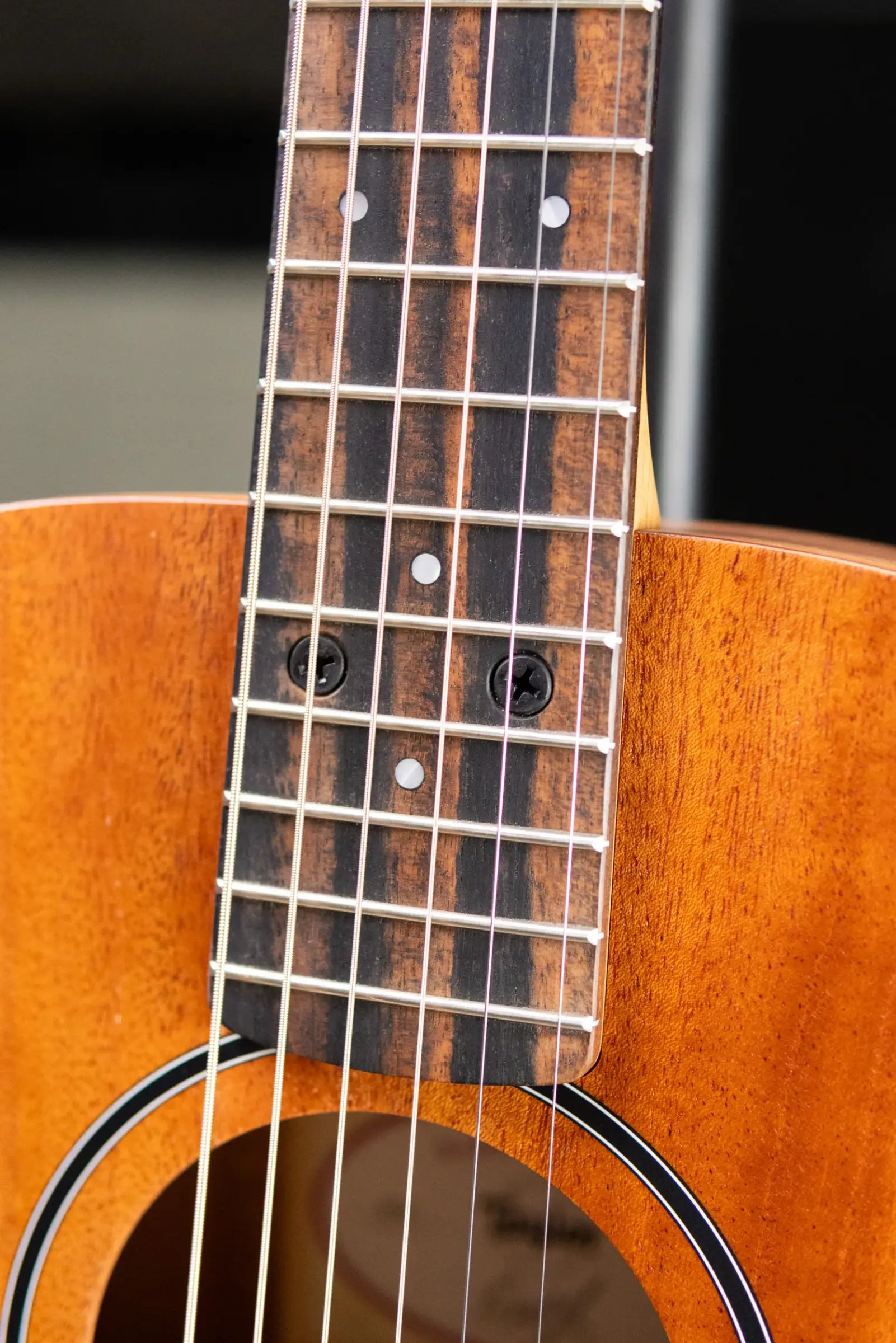 Taylor BT2 Baby Taylor Acoustic Guitar with Gig Bag