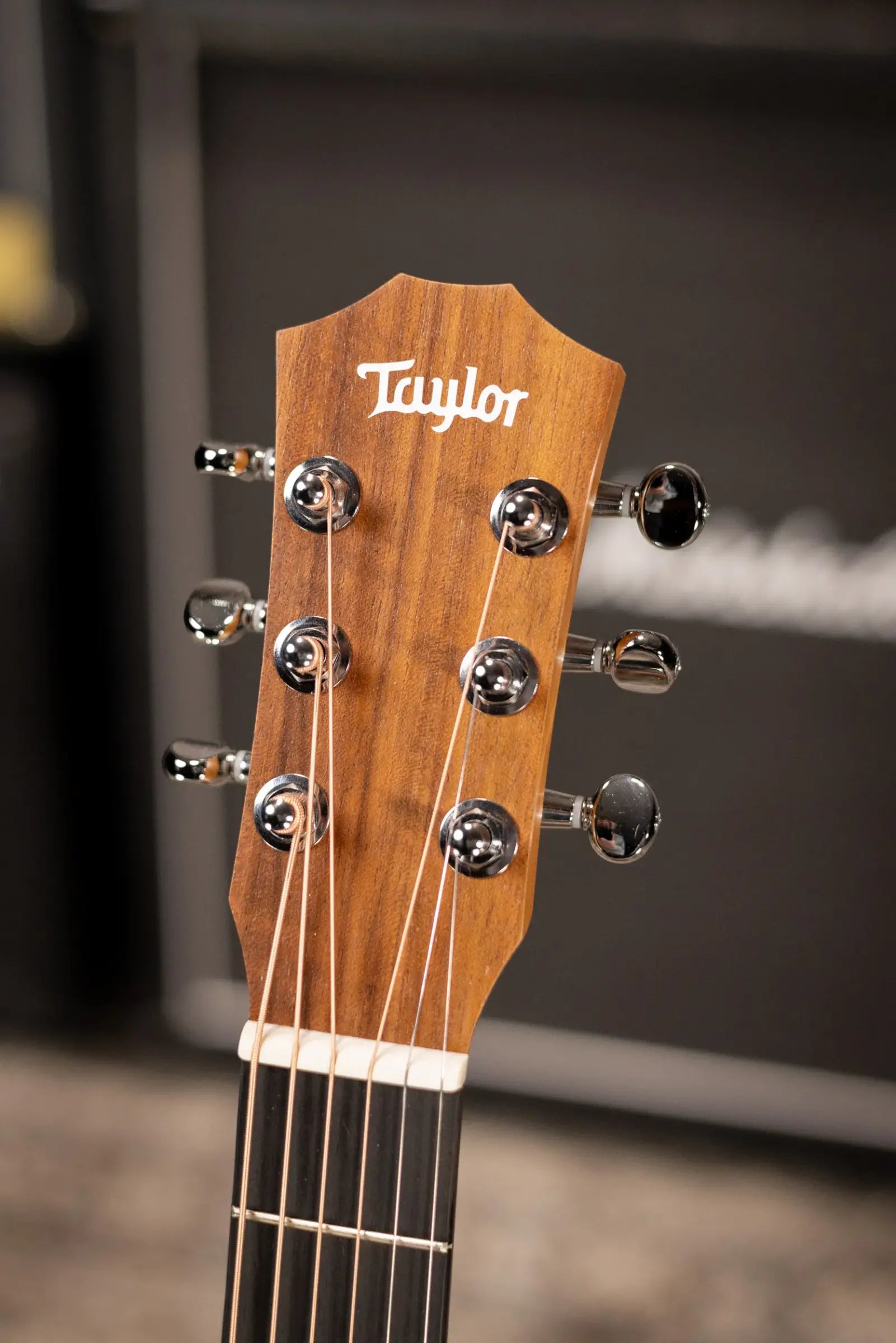 Taylor BT2 Baby Taylor Acoustic Guitar with Gig Bag