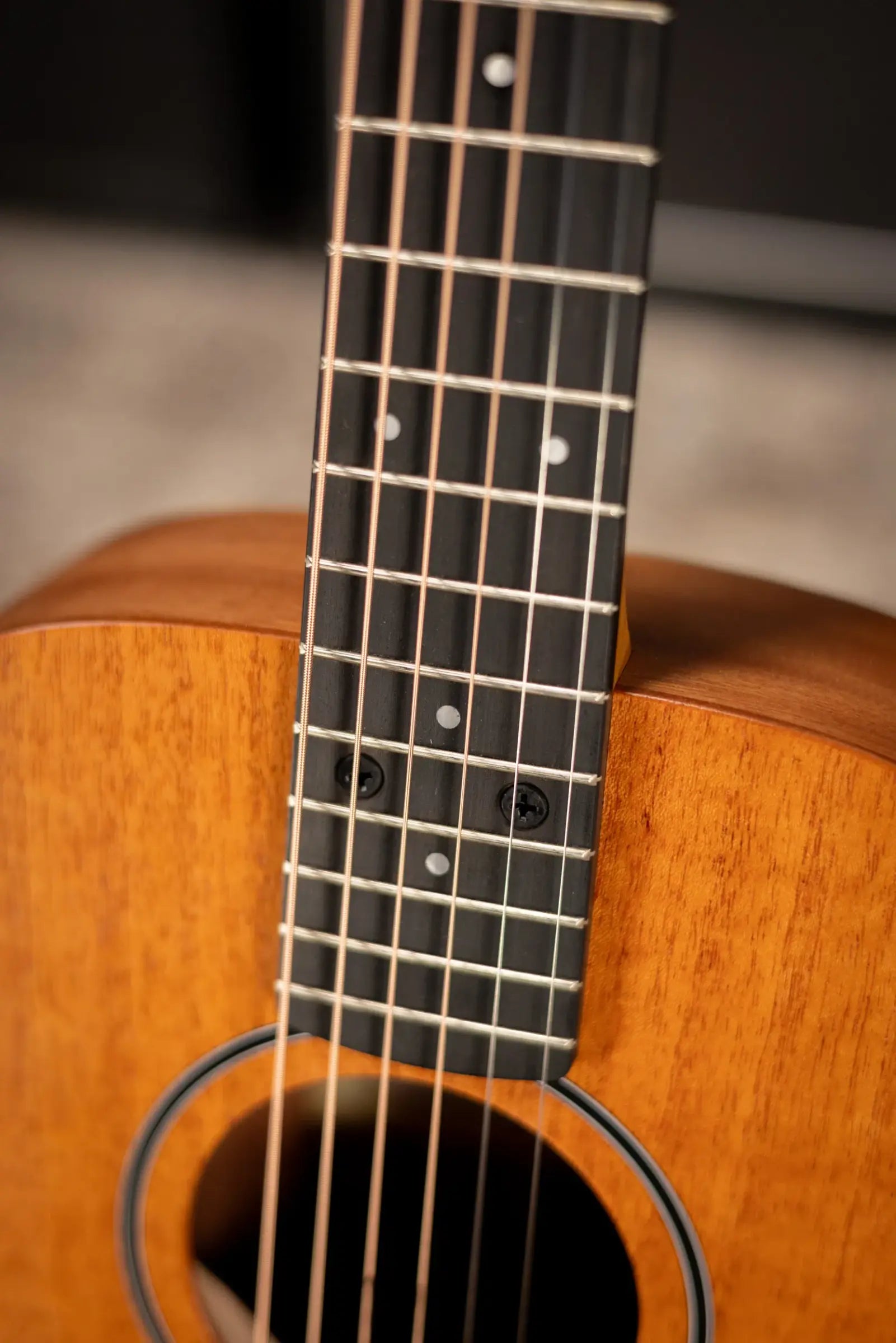 Taylor BT2 Baby Taylor Acoustic Guitar with Gig Bag