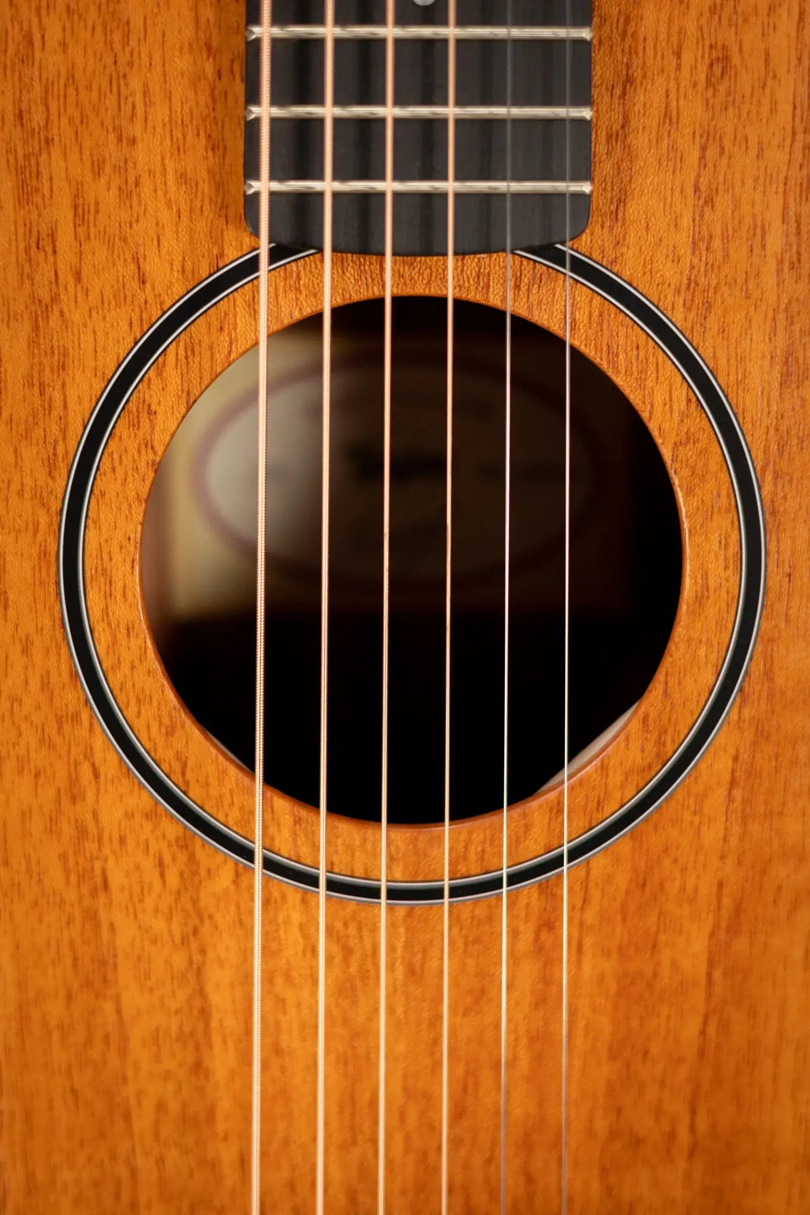 Taylor BT2 Baby Taylor Acoustic Guitar with Gig Bag