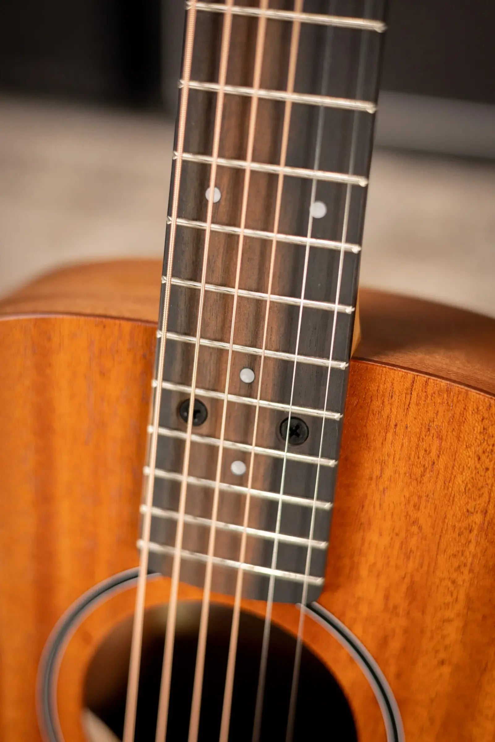 Taylor BT2 Baby Taylor Acoustic Guitar with Gig Bag