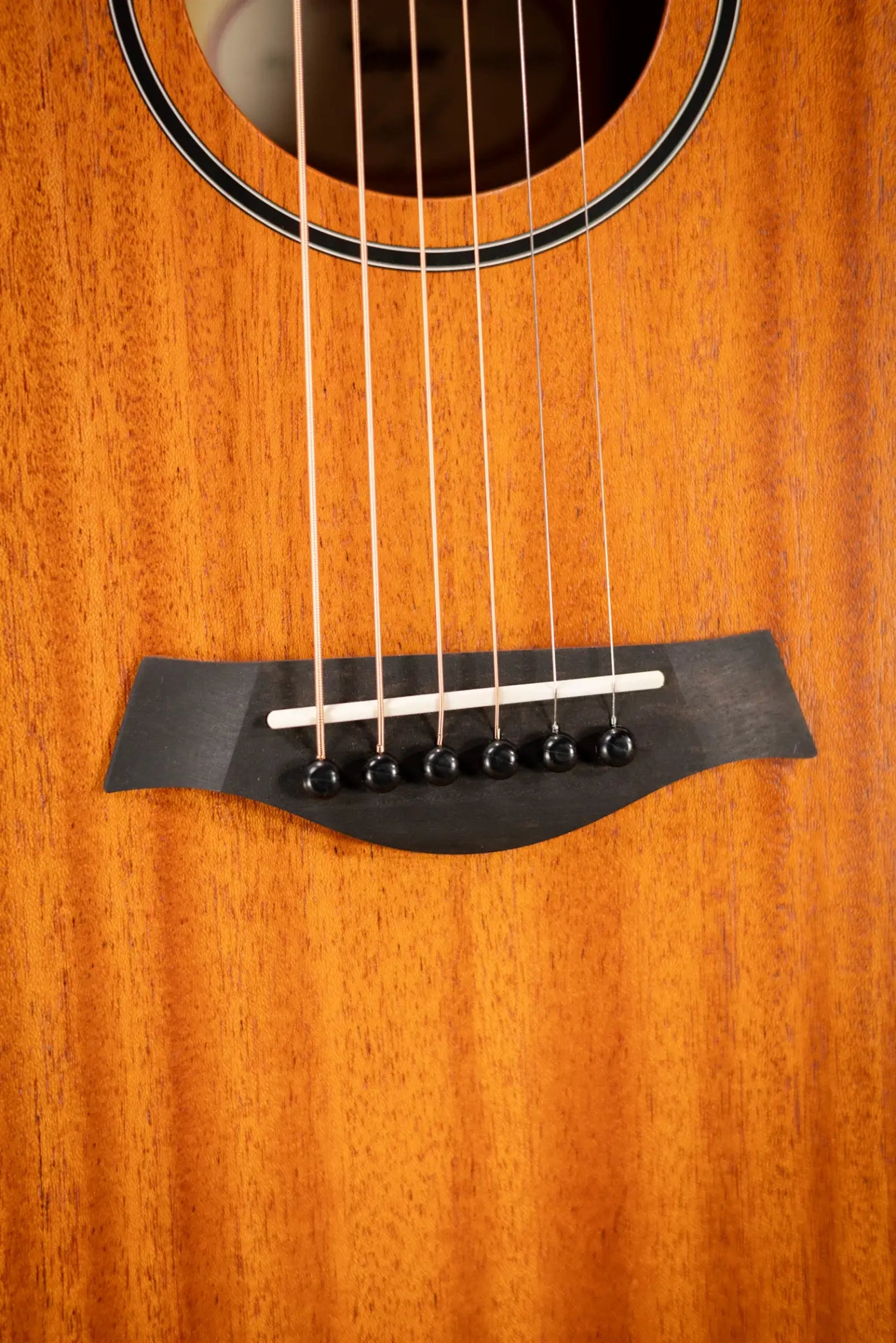 Taylor BT2 Baby Taylor Acoustic Guitar with Gig Bag