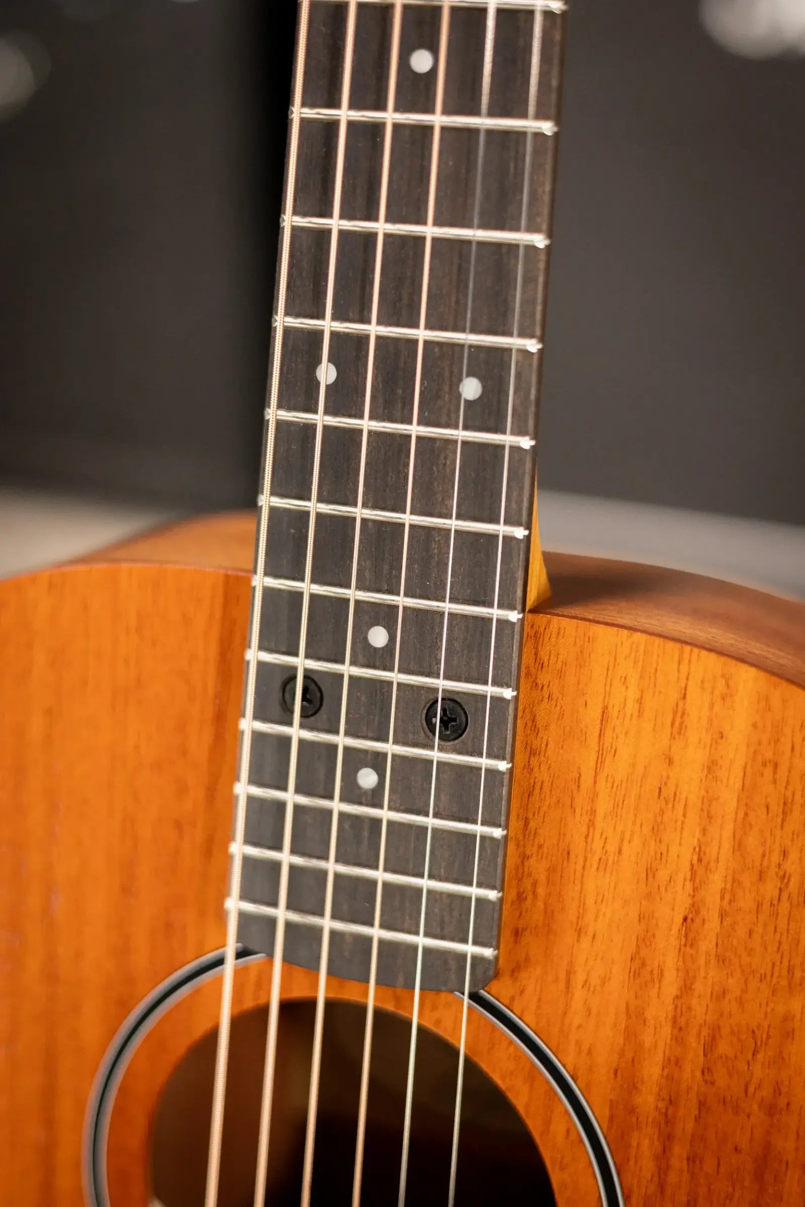 Taylor BT2 Baby Taylor Acoustic Guitar with Gig Bag