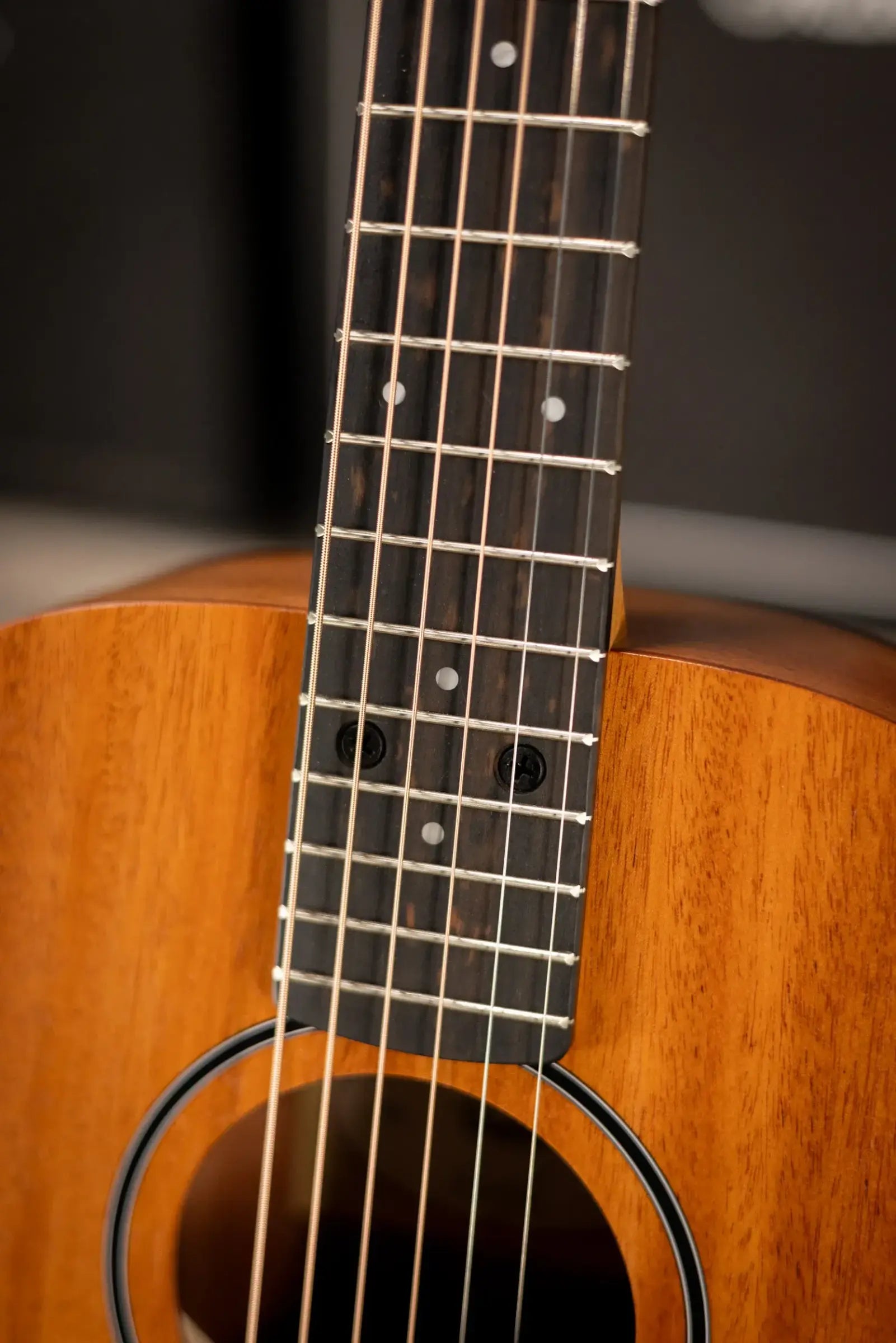 Taylor BT2 Baby Taylor Acoustic Guitar with Gig Bag