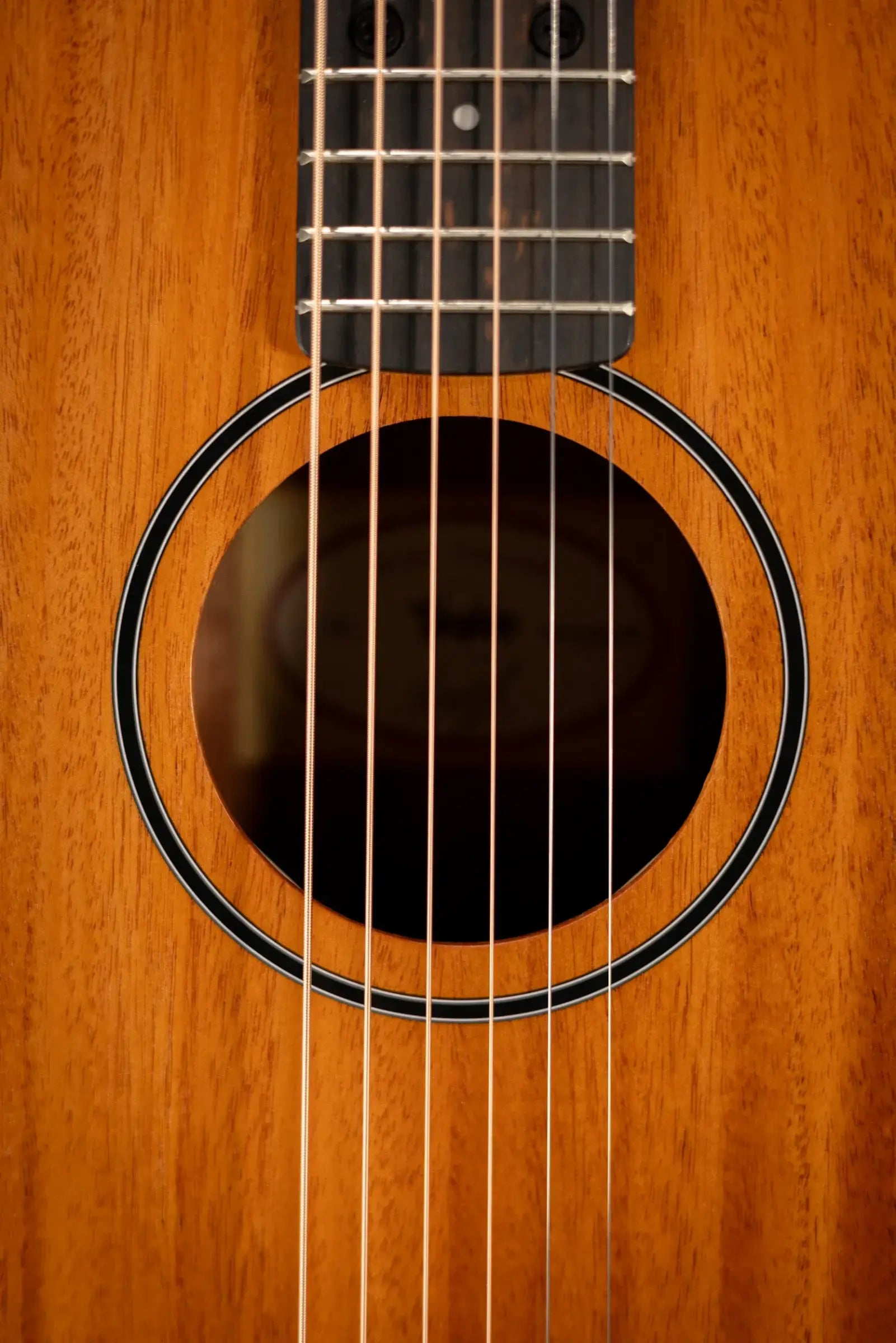 Taylor BT2 Baby Taylor Acoustic Guitar with Gig Bag