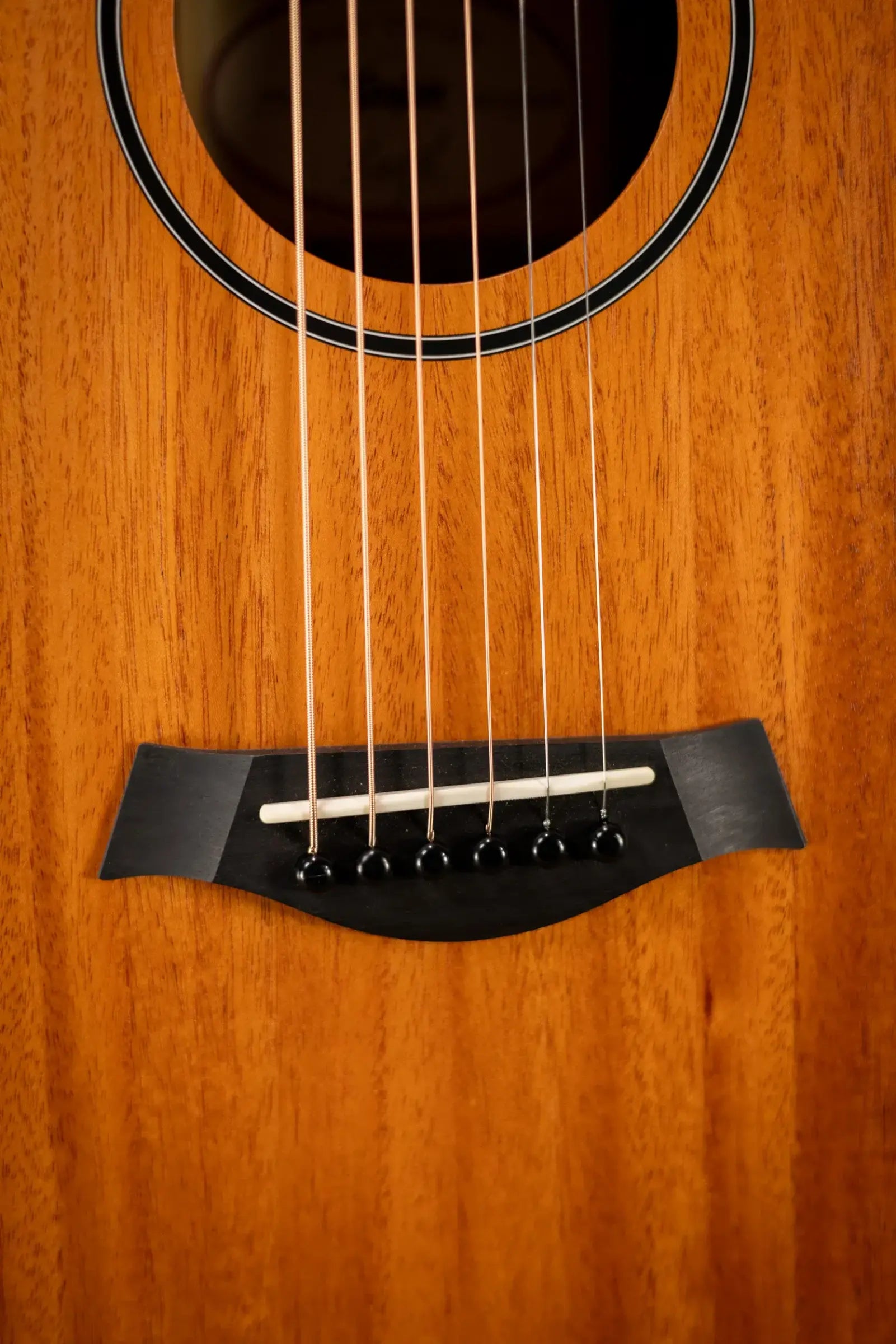 Taylor BT2 Baby Taylor Acoustic Guitar with Gig Bag
