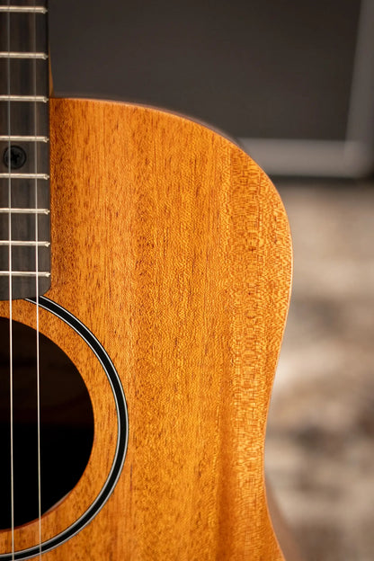 Taylor BT2 Baby Taylor Acoustic Guitar with Gig Bag