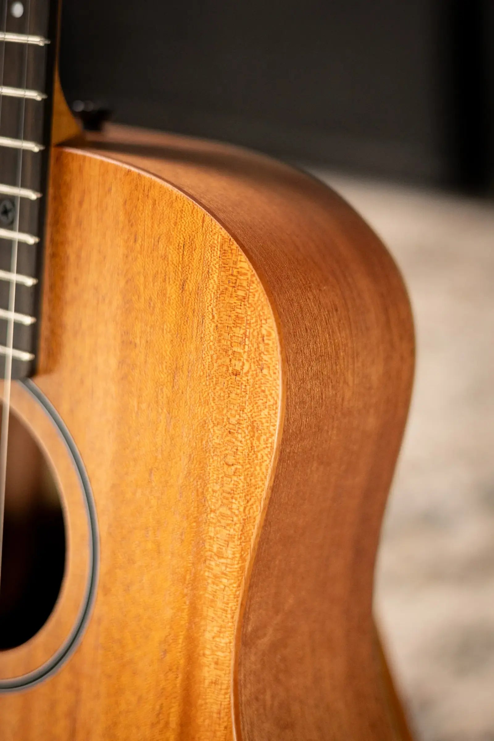 Taylor BT2 Baby Taylor Acoustic Guitar with Gig Bag