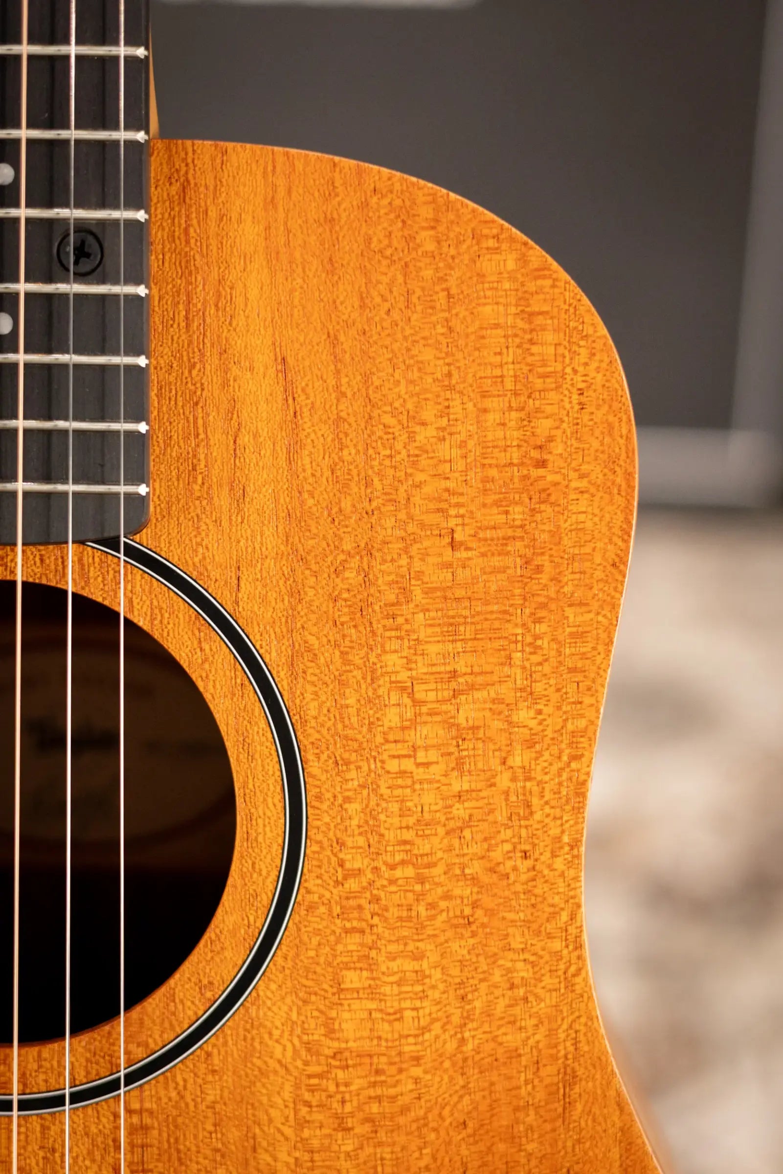 Taylor BT2 Baby Taylor Acoustic Guitar with Gig Bag