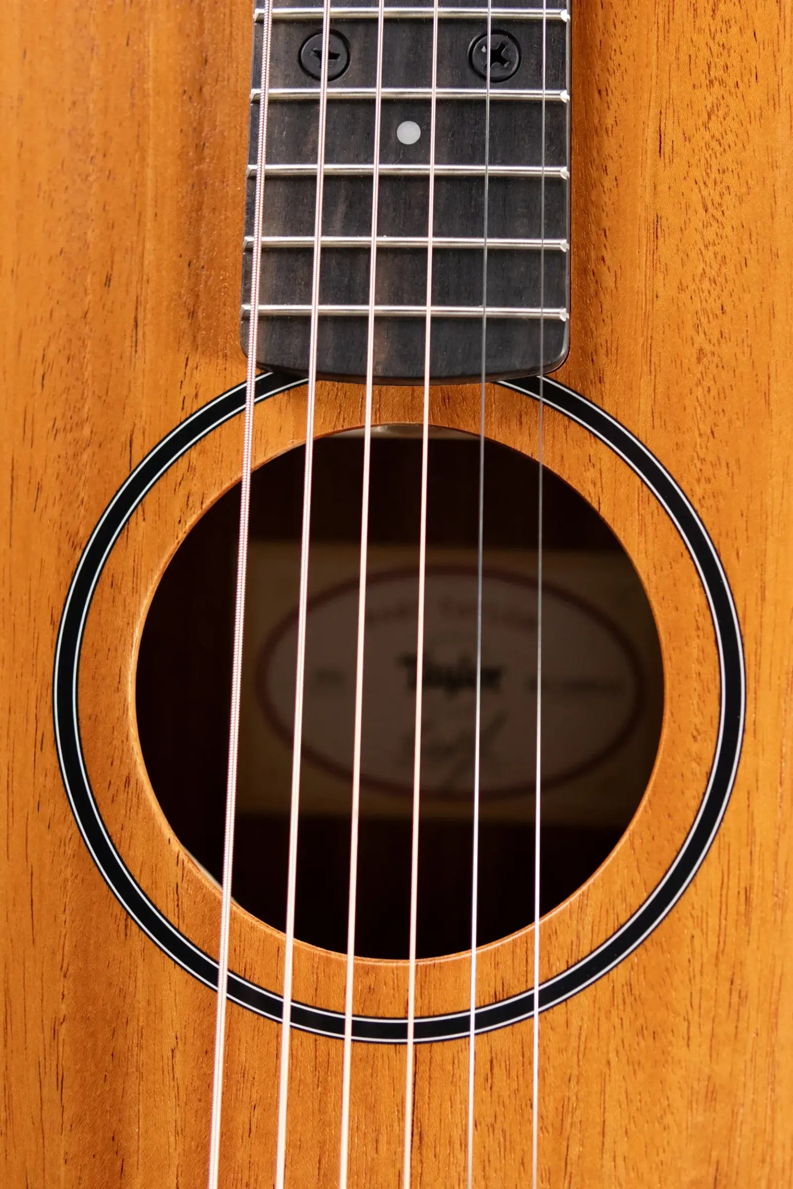 Taylor BT2 Baby Taylor Acoustic Guitar with Gig Bag - Demo