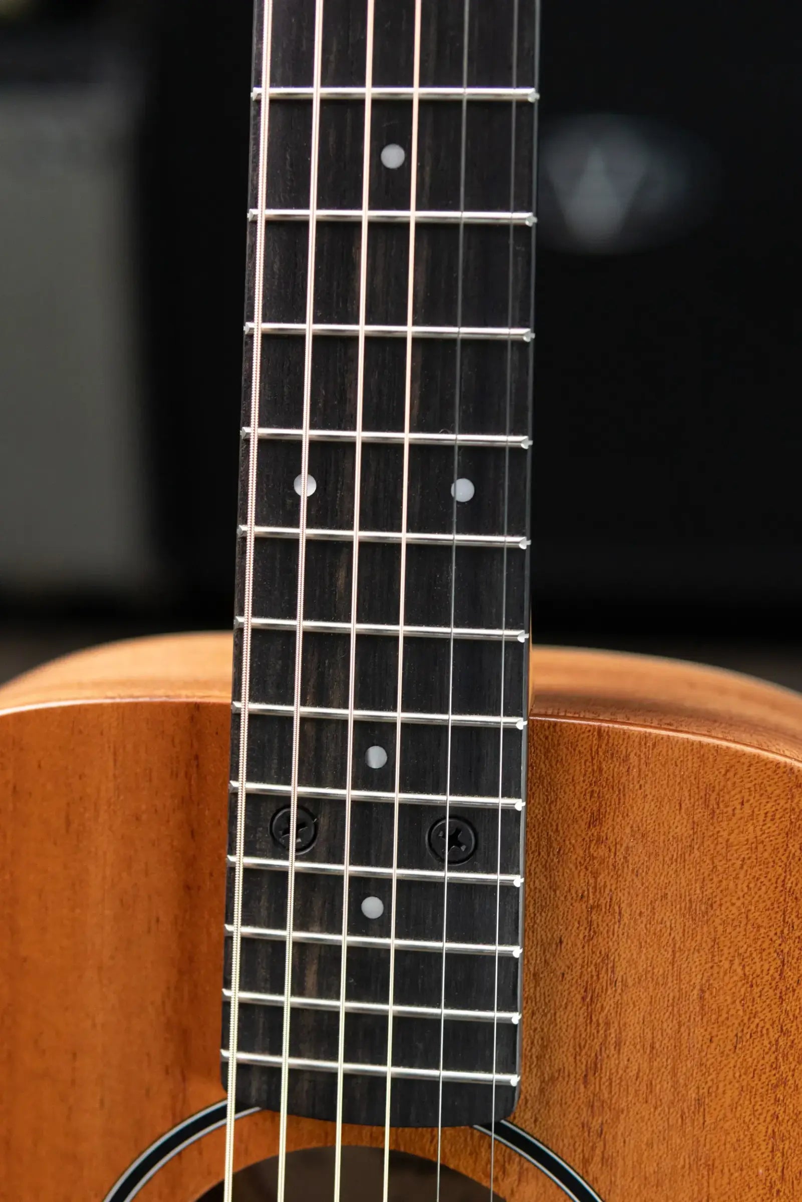 Taylor BT2 Baby Taylor Acoustic Guitar with Gig Bag - Floor Model