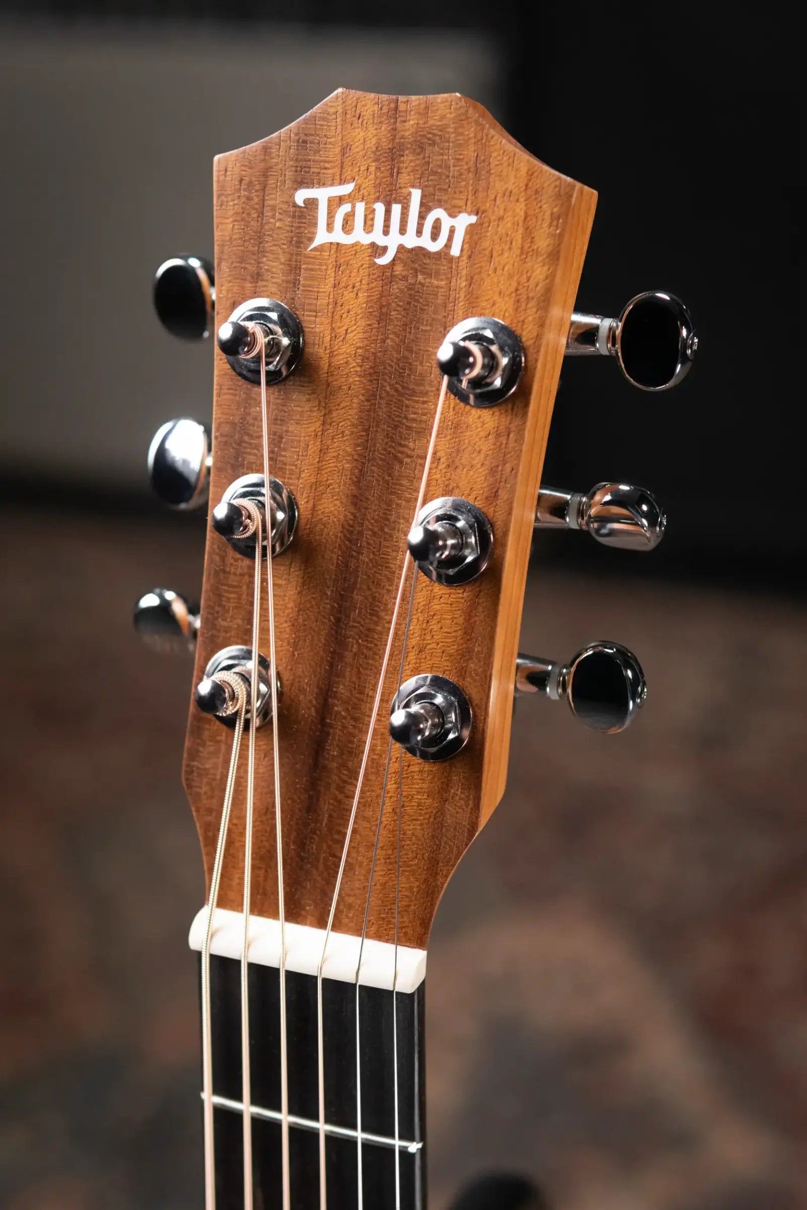 Taylor BT2 Mahogany Acoustic Guitar with Gig Bag