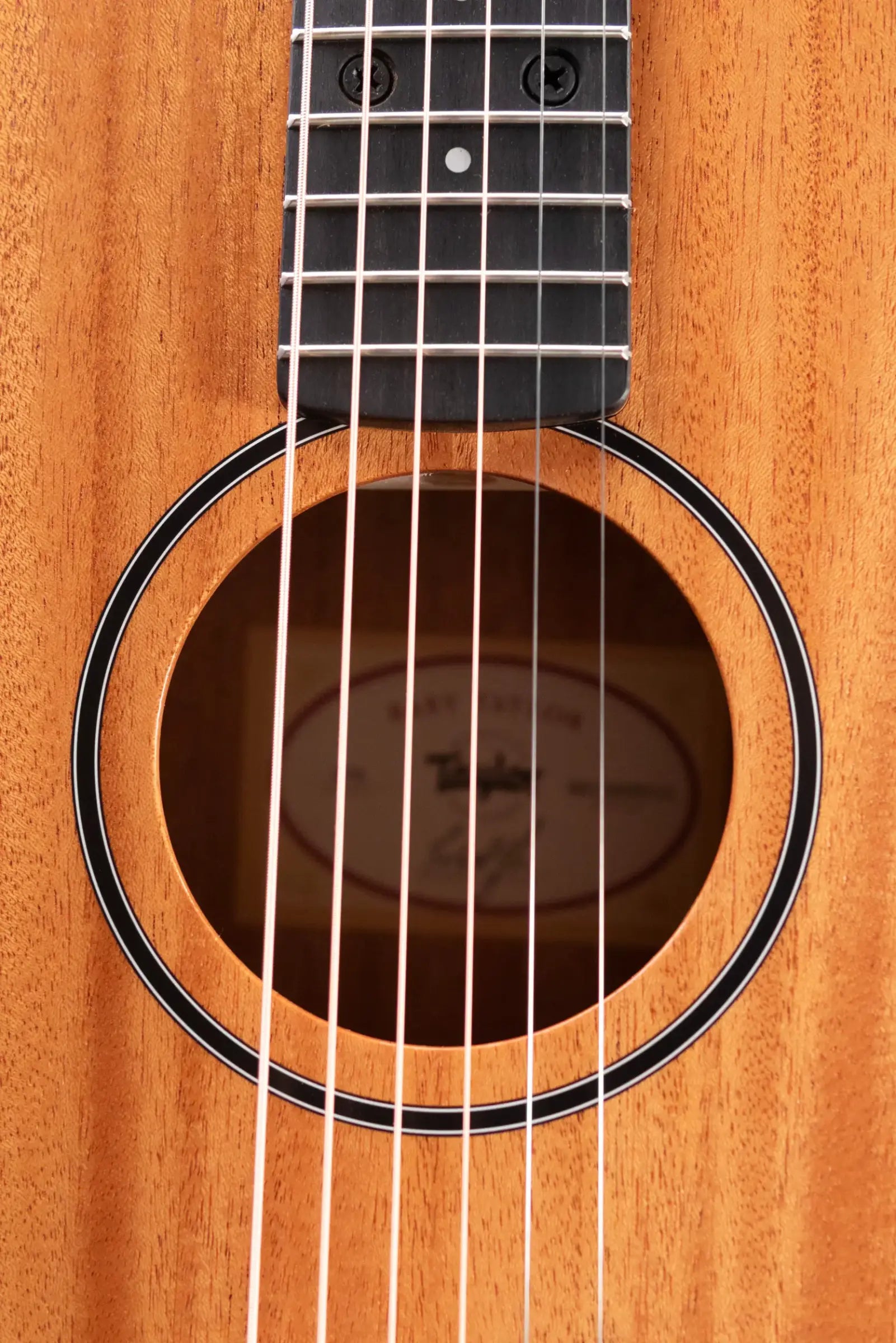 Taylor BT2 Mahogany Acoustic Guitar with Gig Bag