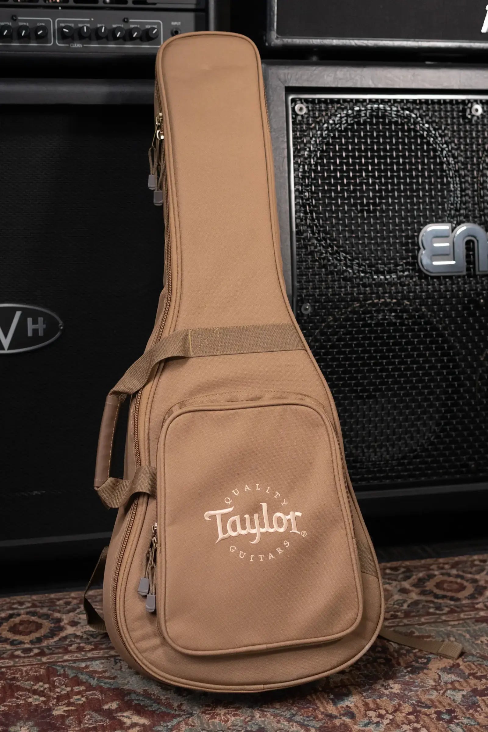 Taylor BT2 Mahogany Acoustic Guitar with Gig Bag