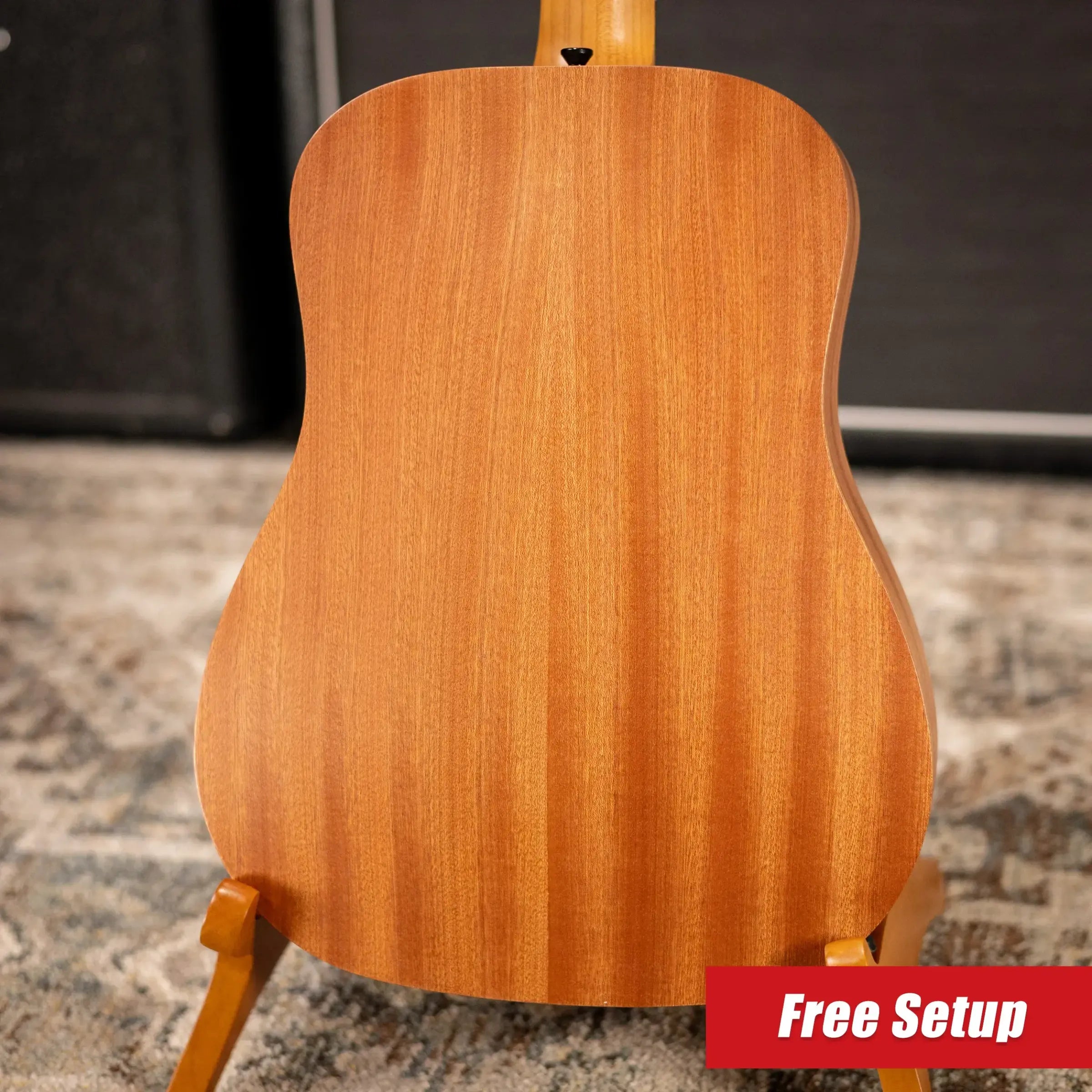 Taylor BT2 Mahogany Acoustic Guitar with Gig Bag