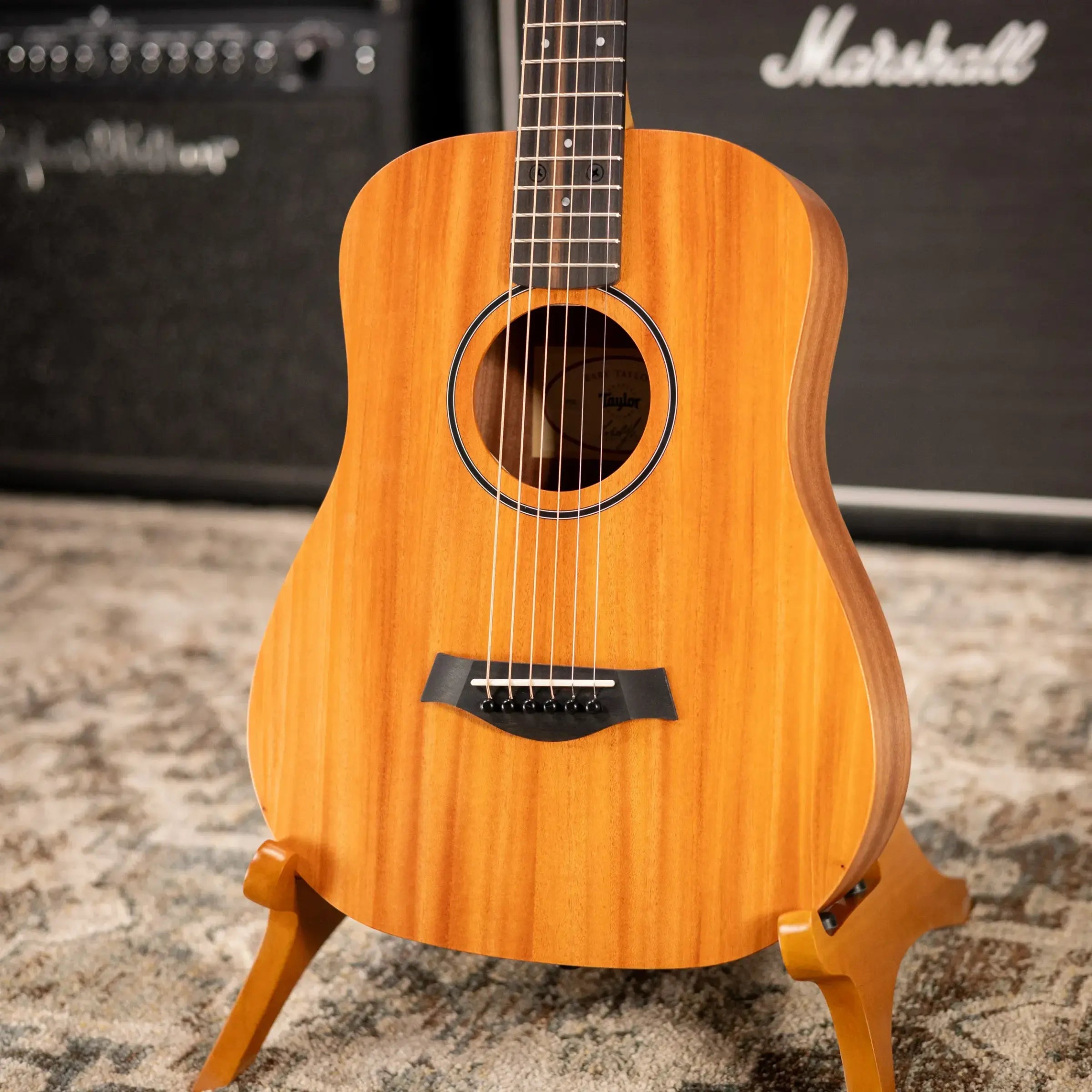 Taylor BT2 Mahogany Acoustic Guitar with Gig Bag