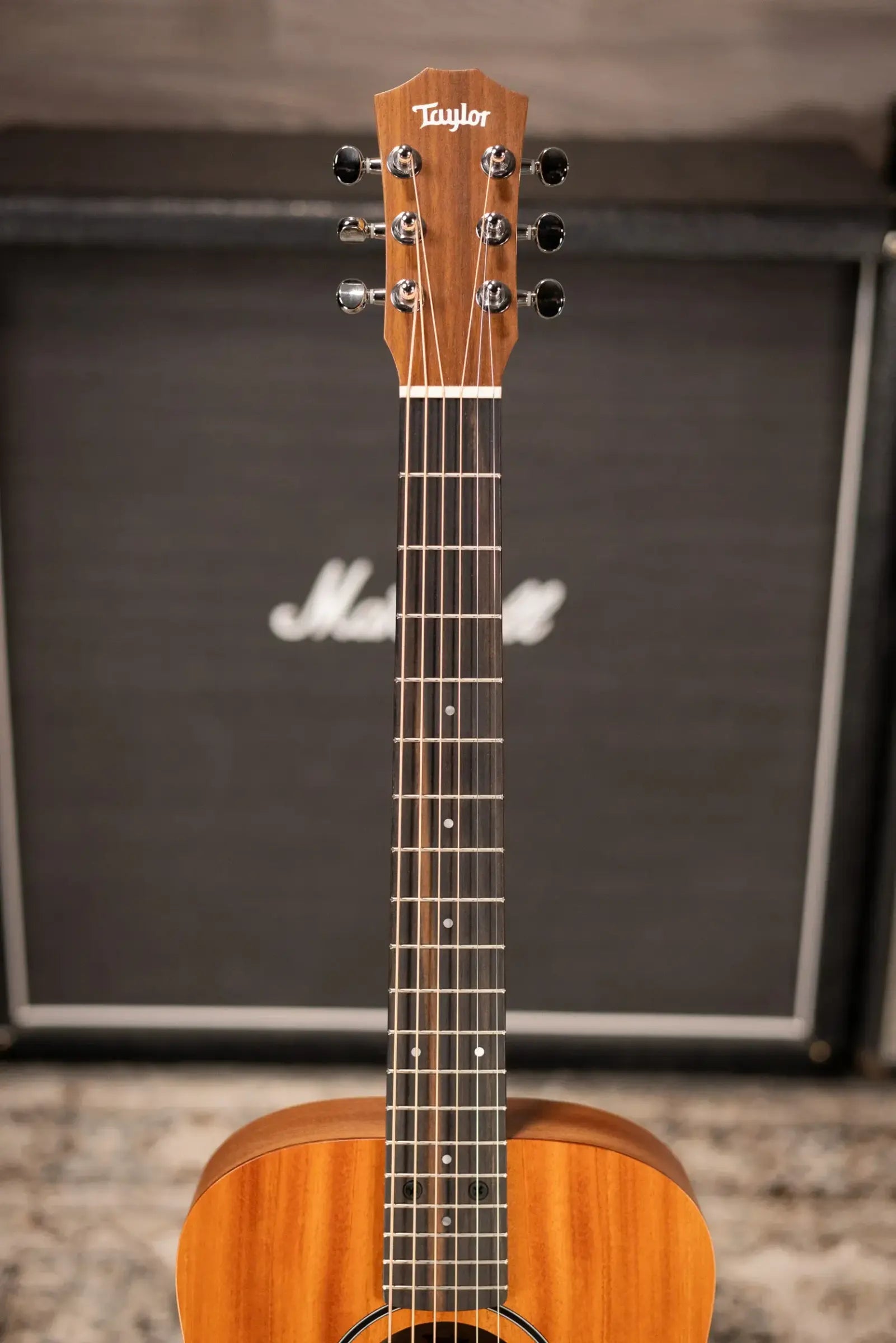 Taylor BT2 Mahogany Acoustic Guitar with Gig Bag