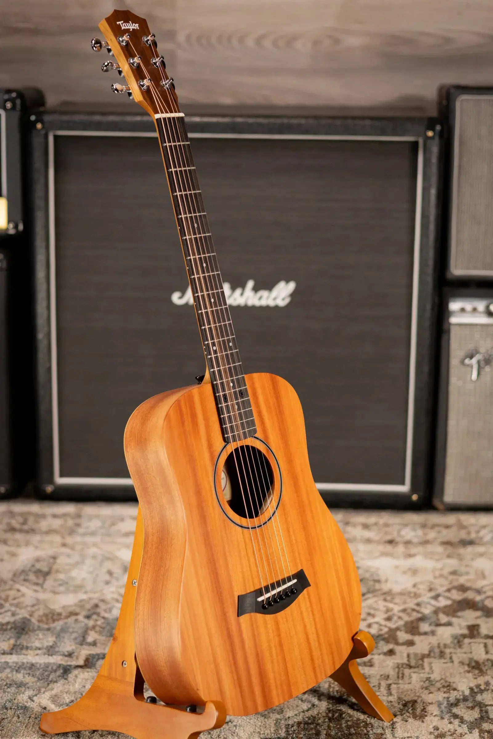 Taylor BT2 Mahogany Acoustic Guitar with Gig Bag
