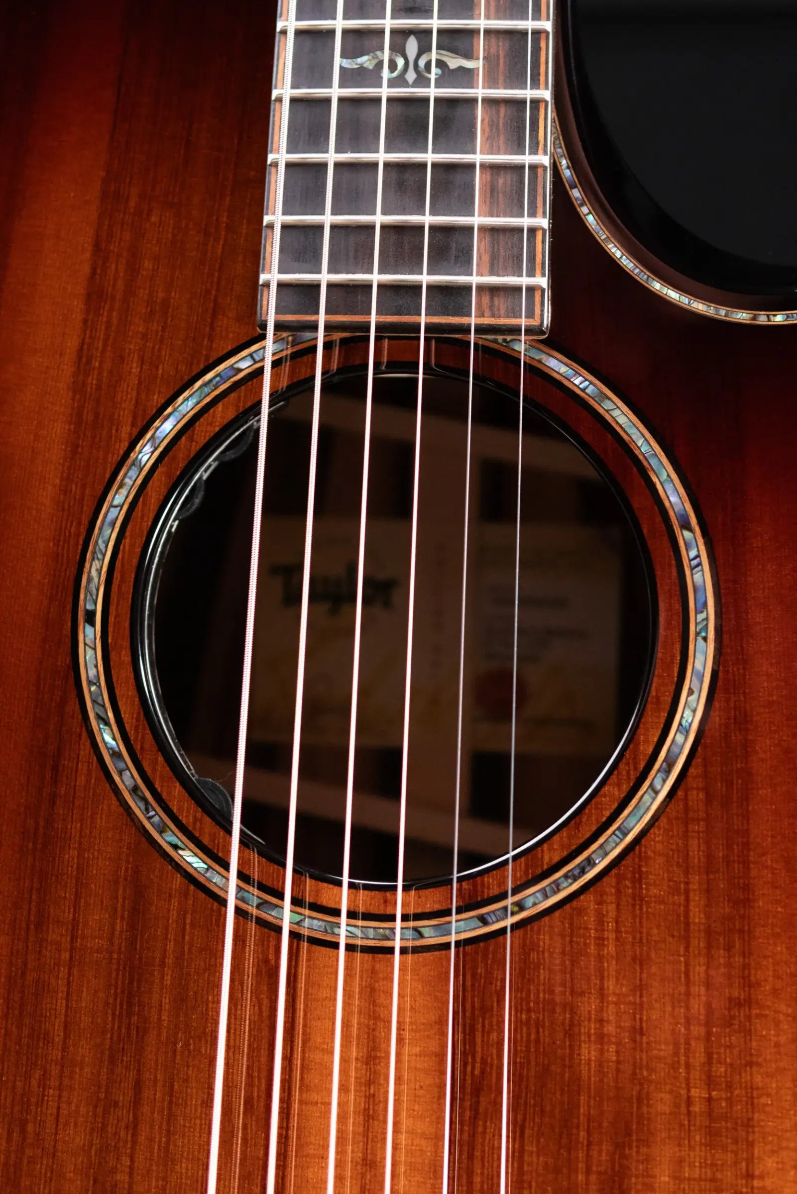 Taylor Builder's Edition 914ce LTD Macassar Ebony Grand Auditorium Acoustic/Electric Guitar with Hardshell Case