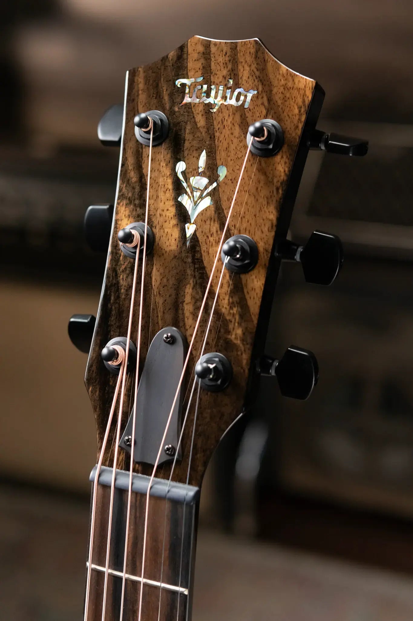 Taylor Custom Shop 2024 Grand Auditorium Acoustic/Electric - Maple/Sinker Cypress with Hardshell Case