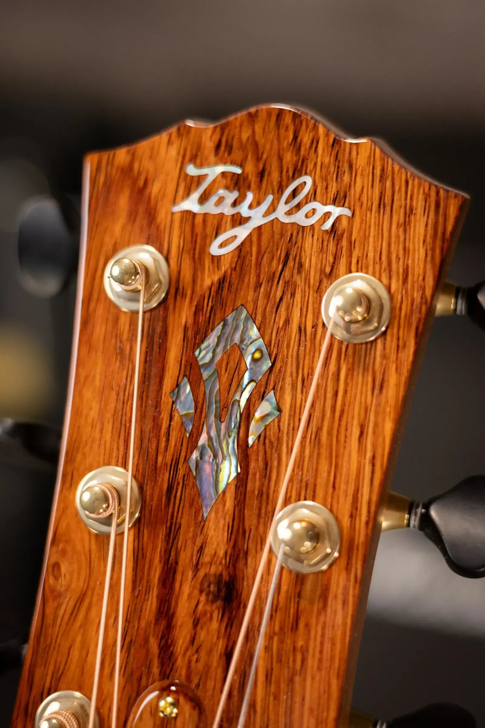 Taylor Custom Shop 2026 Catch Event #19 B6019 C14ce Gold Label Super Auditorium Acoustic/Electric Guitar with Hardshell Case