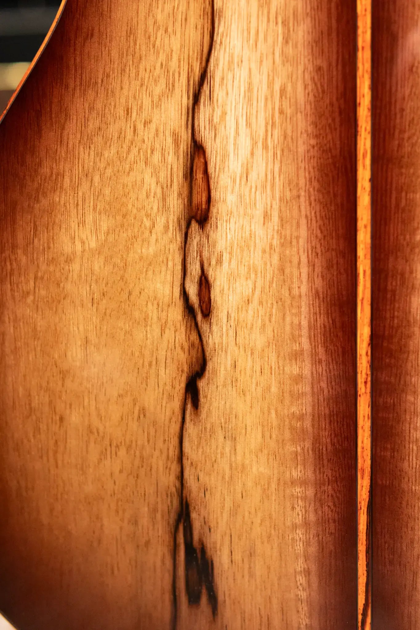 Taylor Custom "The Monument" 1 of 20 12-Fret 2025 Catch Event #10 Grand Concert Acoustic/Electric Guitar - Black Limba/Sinker Cypress with Hardshell Case