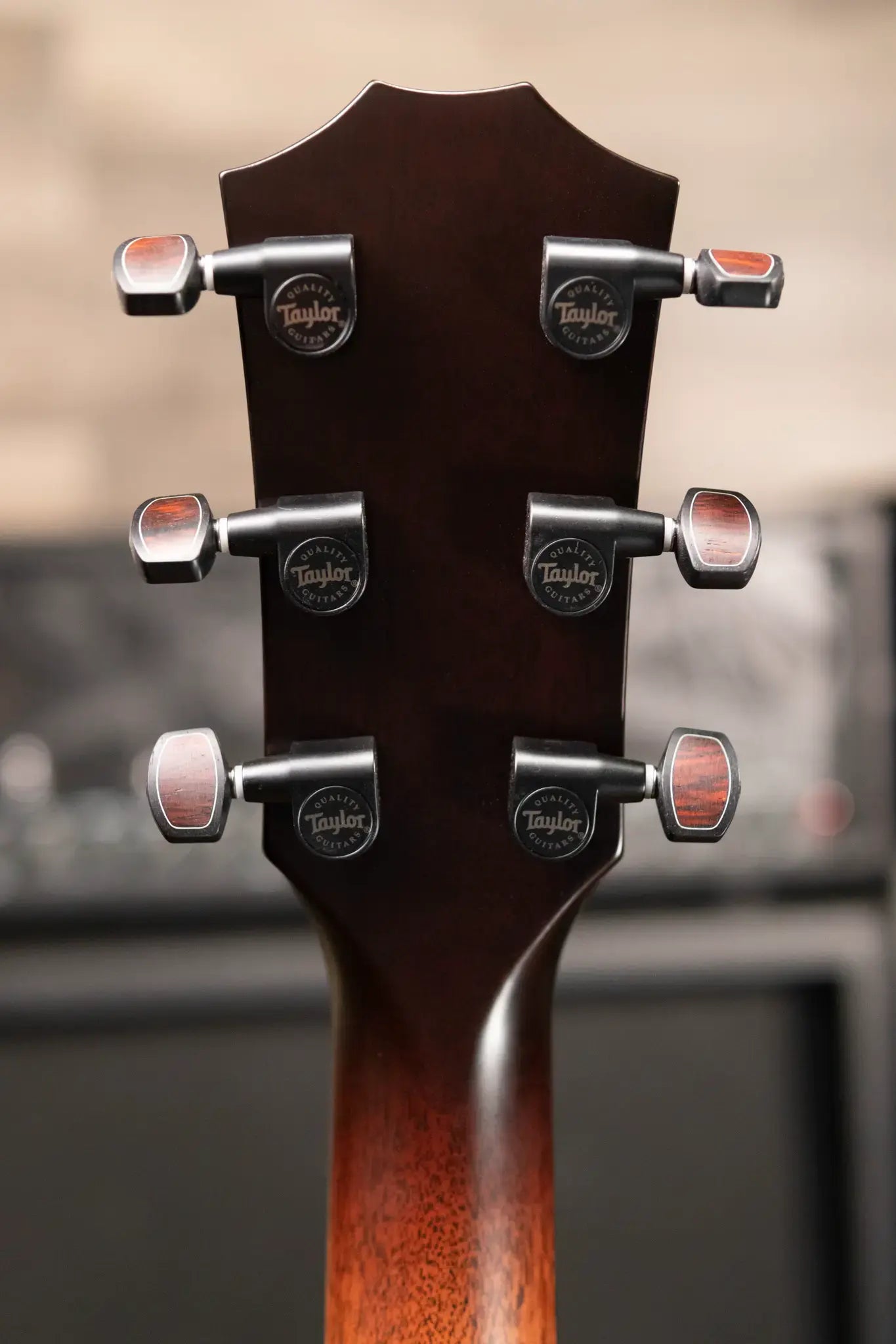 Taylor Custom "The Monument" 1 of 20 C12e 12-Fret 2025 Catch Event #10 Grand Concert Acoustic/Electric Guitar - Black Limba/Sinker Cypress with Hardshell Case