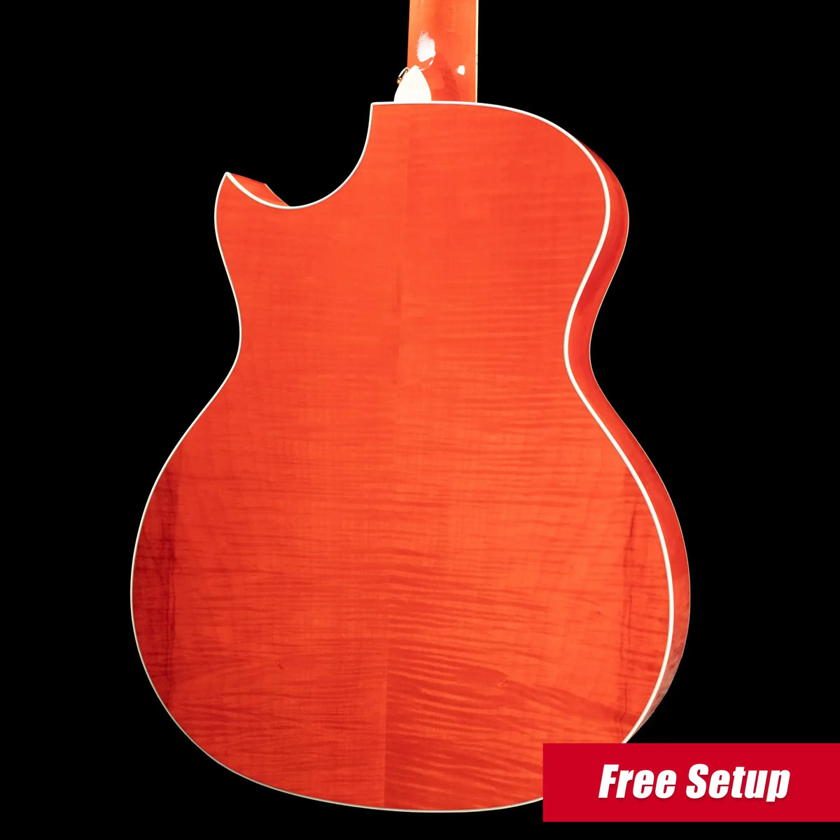 Taylor Doyle Dykes Signature Model Thin Body Grand Auditorium Acoustic/Electric Guitar with Hardshell Case