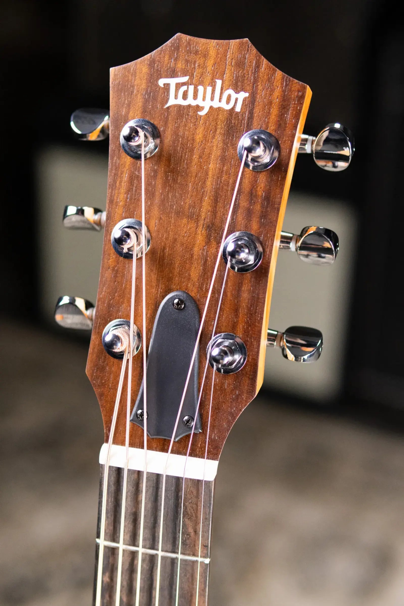 Taylor GS Mini Mahogany Acoustic Guitar with GS Mini Bag