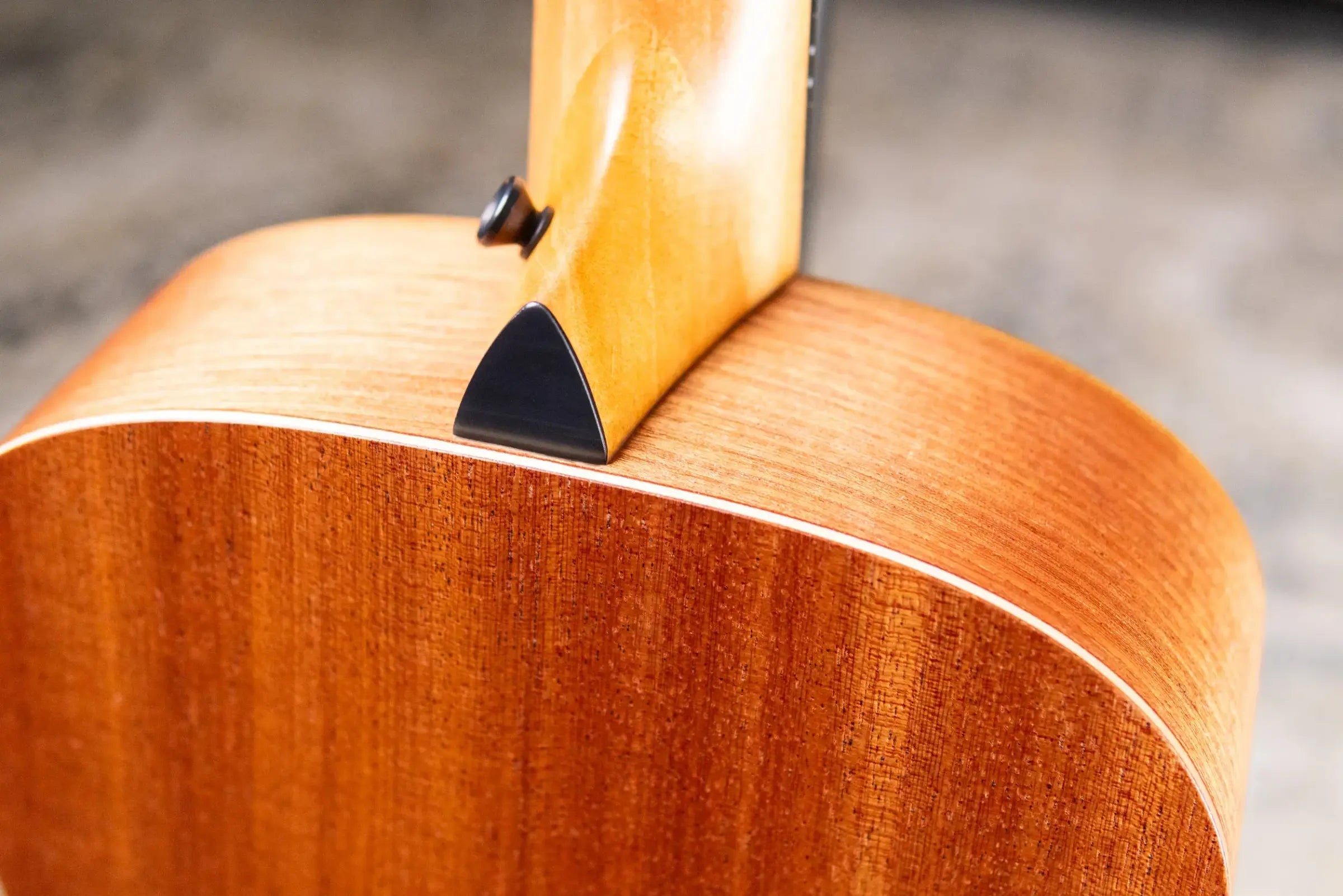 Taylor GS Mini Sapele Acoustic Guitar with GS Mini Hard Bag