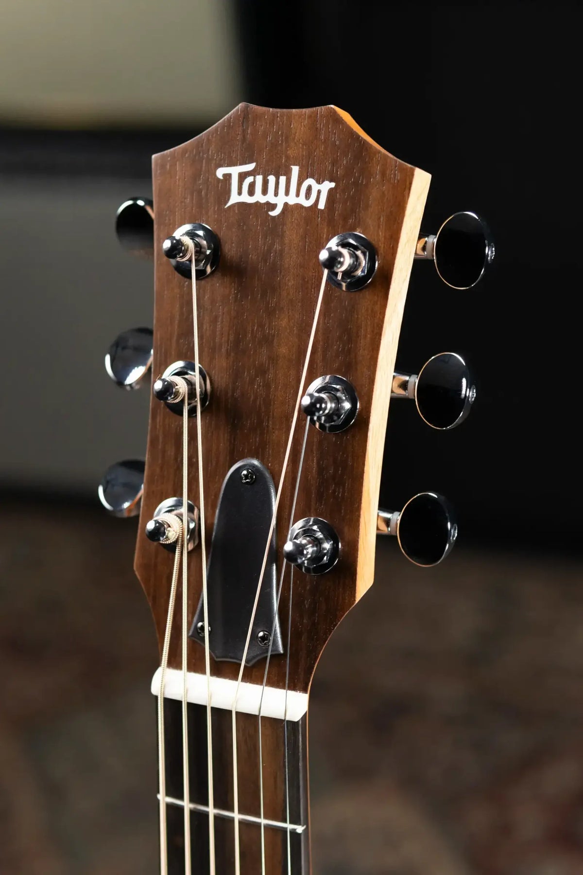 Taylor GS Mini Sapele Acoustic Guitar with GS Mini Hard Bag