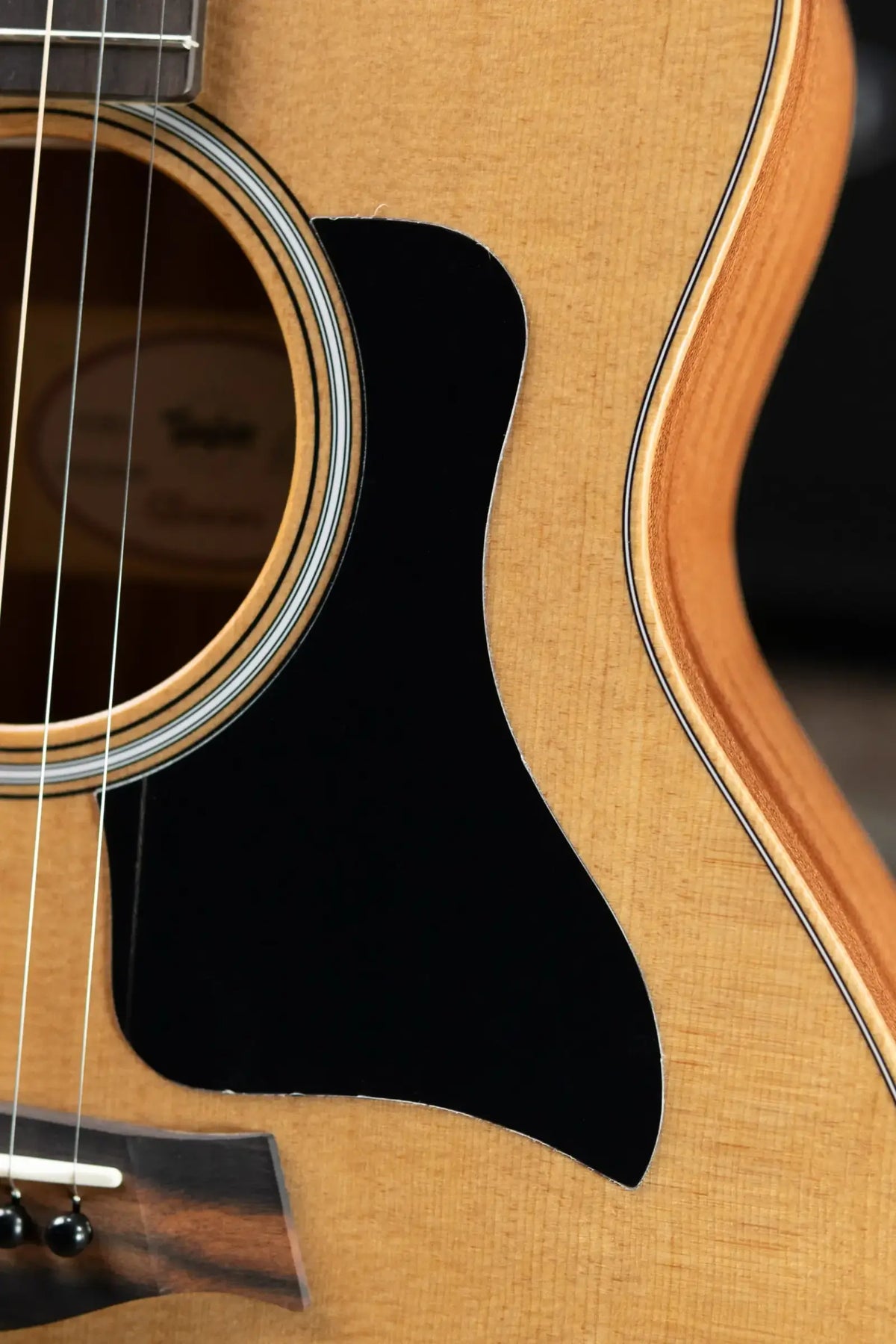 Taylor GS Mini Sapele Acoustic Guitar with GS Mini Hard Bag