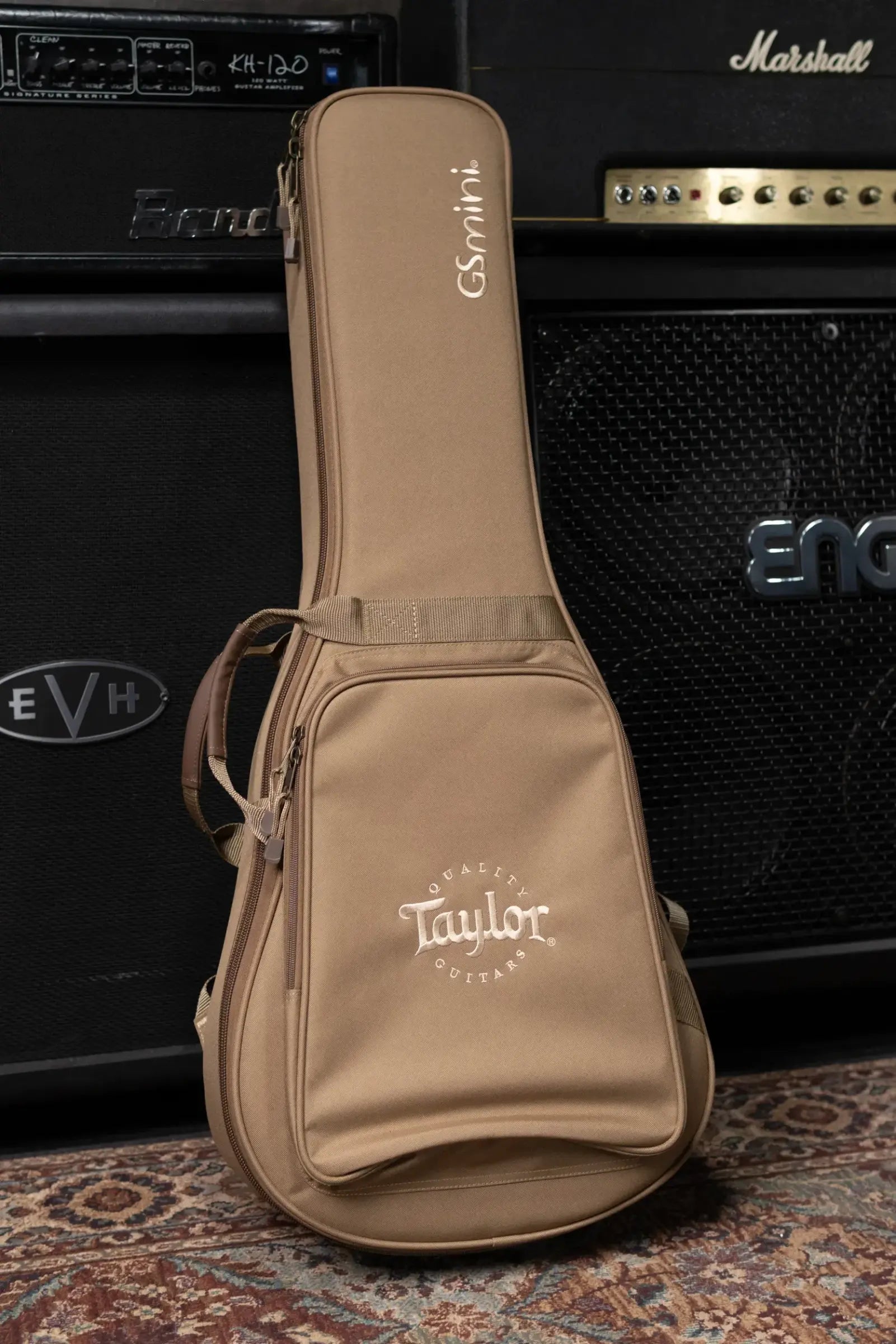 Taylor GS Mini Sapele Acoustic Guitar with Gig Bag - Floor Demo