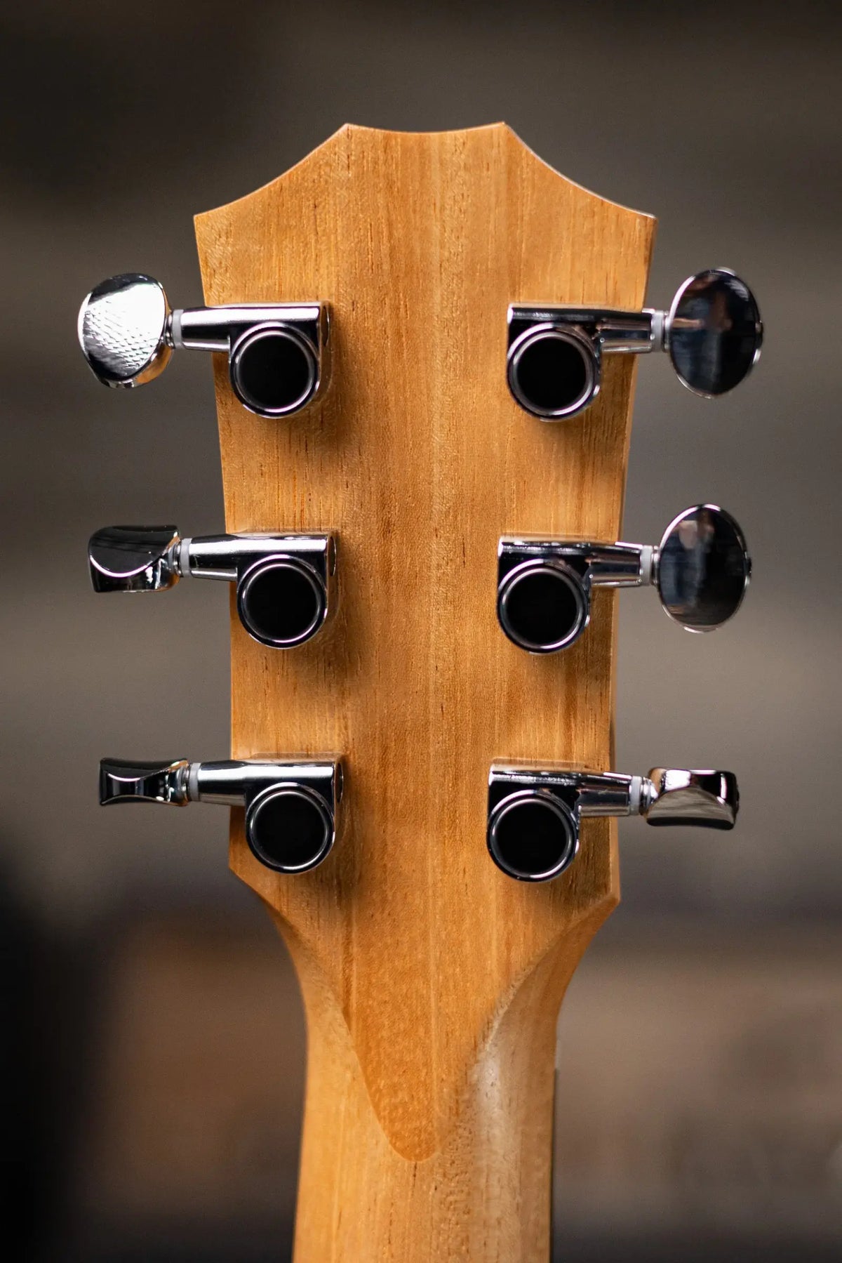Taylor GS Mini Special Edition Guitars 4 Veterans Acoustic Guitar - Americana with GS Mini Bag - Demo