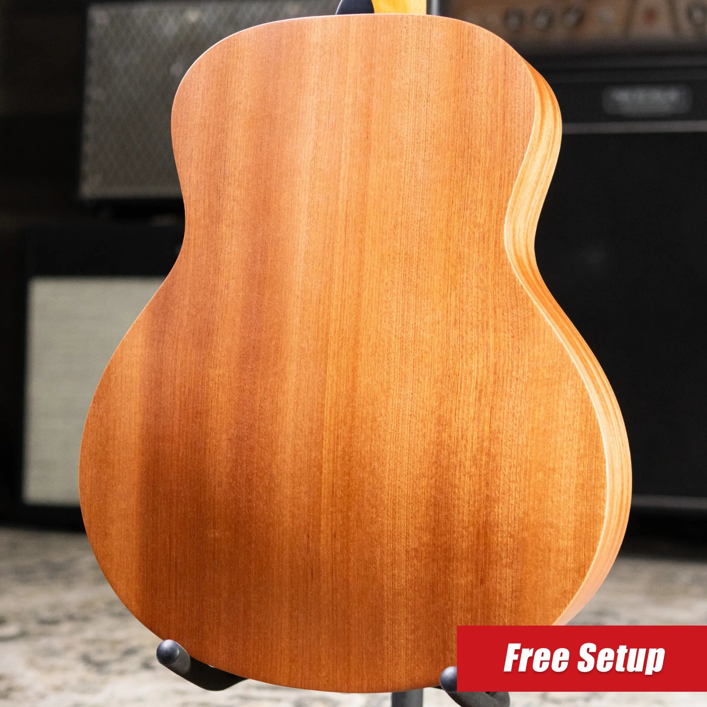 Taylor GS Mini Special Edition Guitars 4 Veterans Acoustic Guitar with GS Mini Bag