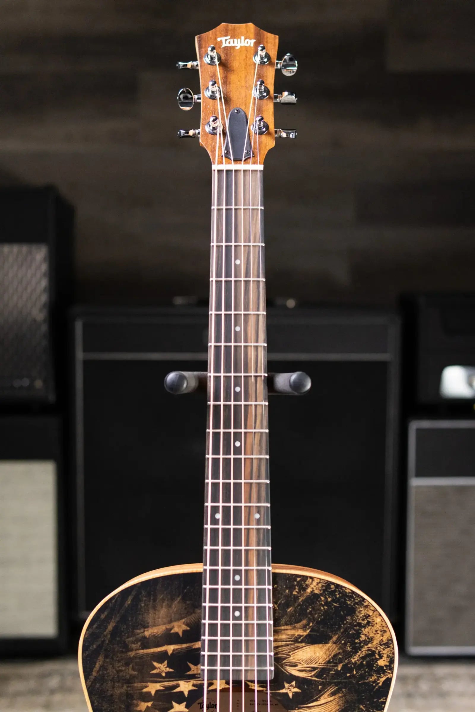 Taylor GS Mini Special Edition Guitars 4 Veterans Acoustic Guitar with GS Mini Bag